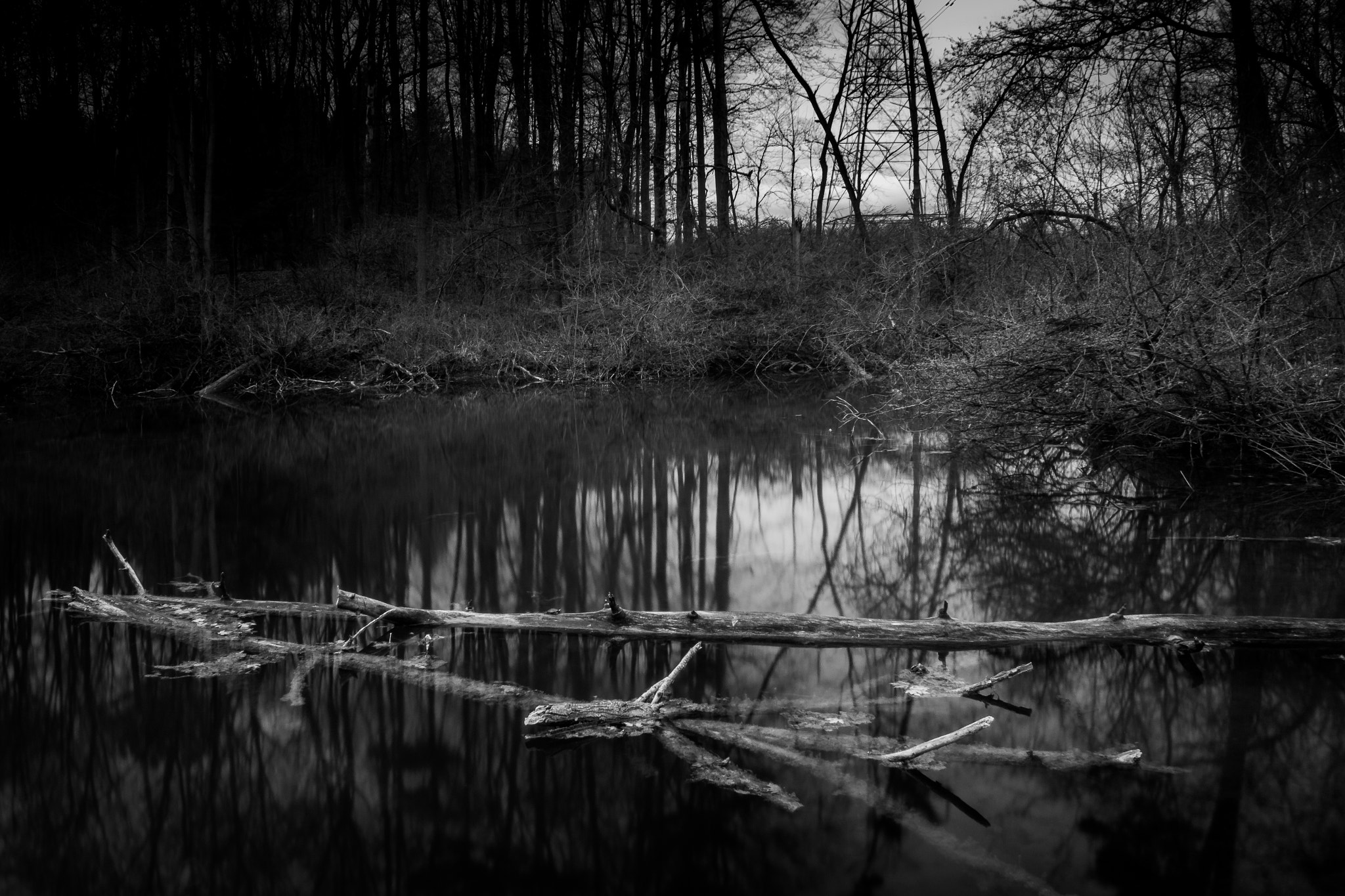 Canon EF-S 18-55mm F3.5-5.6 sample photo. What lies beneath? photography