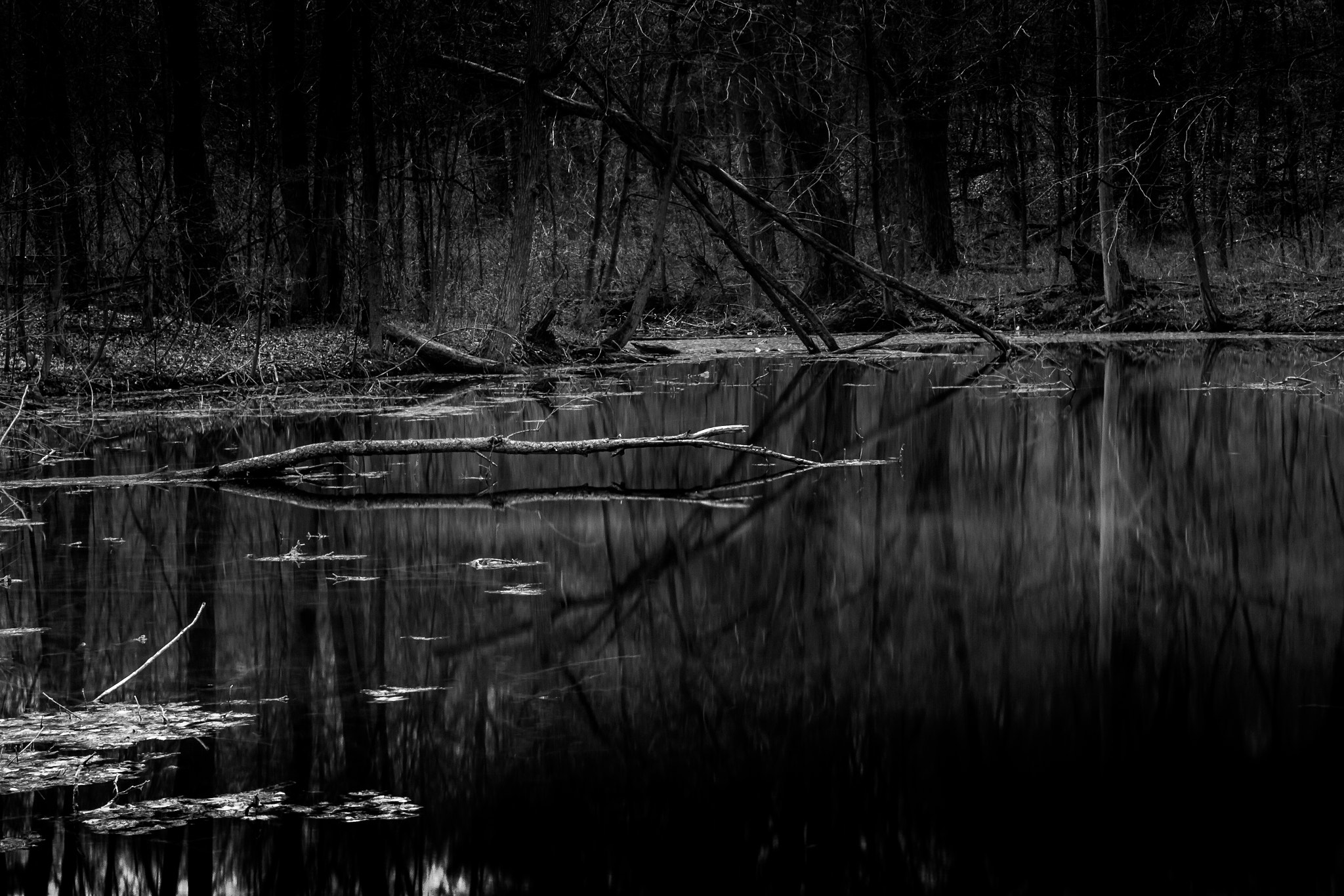 Canon EF-S 18-55mm F3.5-5.6 sample photo. Reflecting death photography