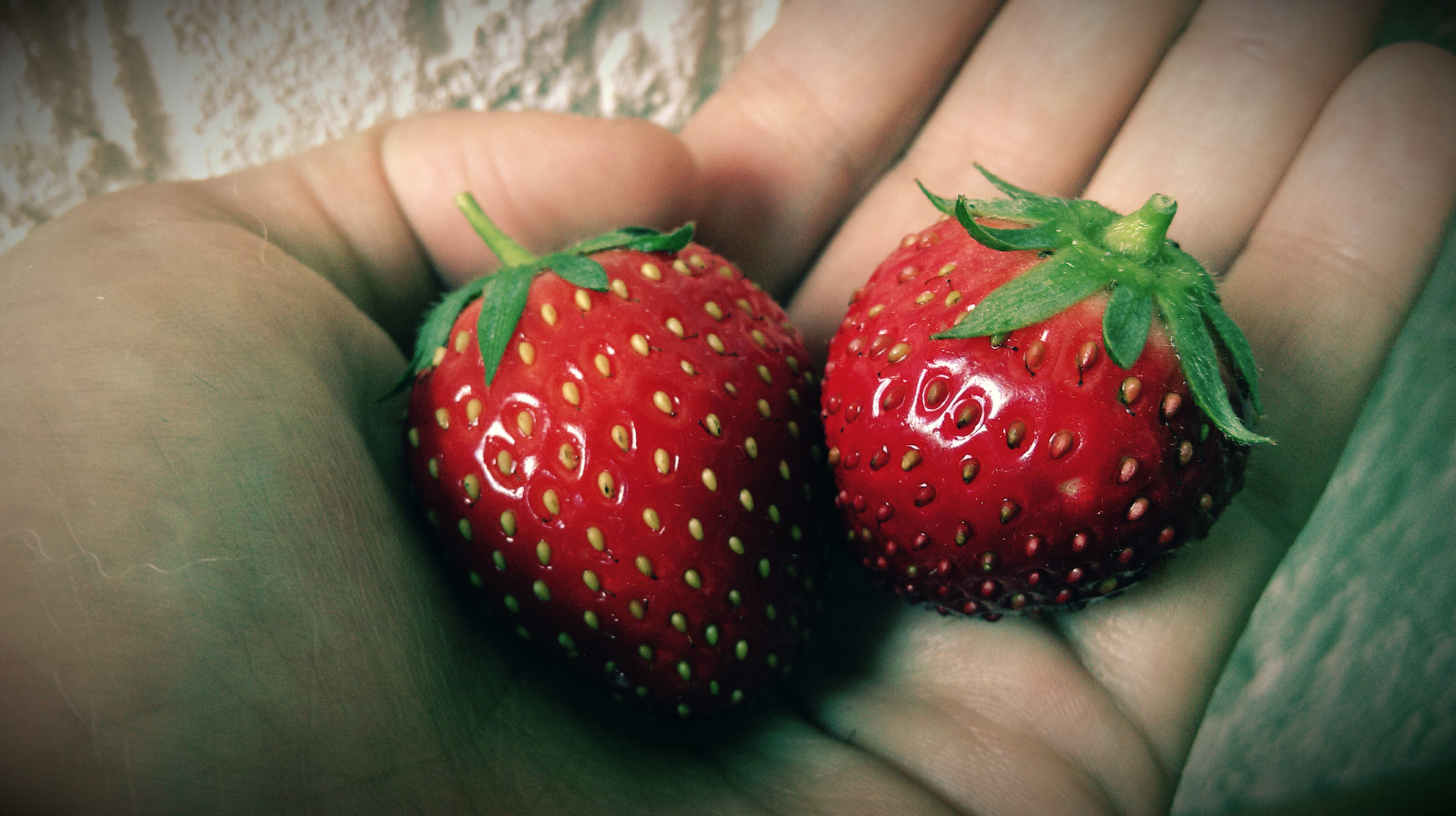 HTC ONE MINI 2 sample photo. Strawberries photography