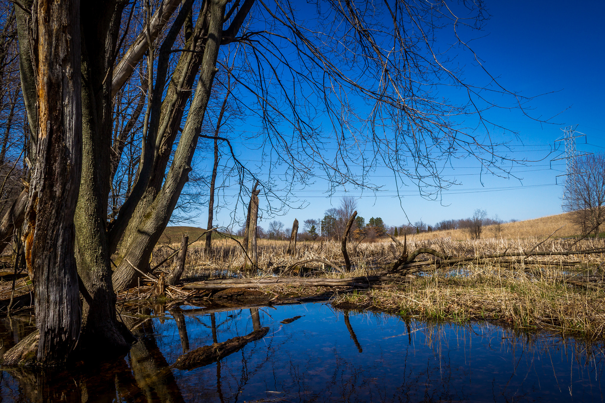 Canon EF-S 18-55mm F3.5-5.6 sample photo. Blue bog photography
