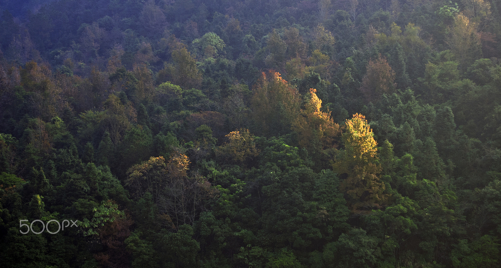 Tamron AF 80-210mm F4-5.6 (178D) sample photo. Morning light photography