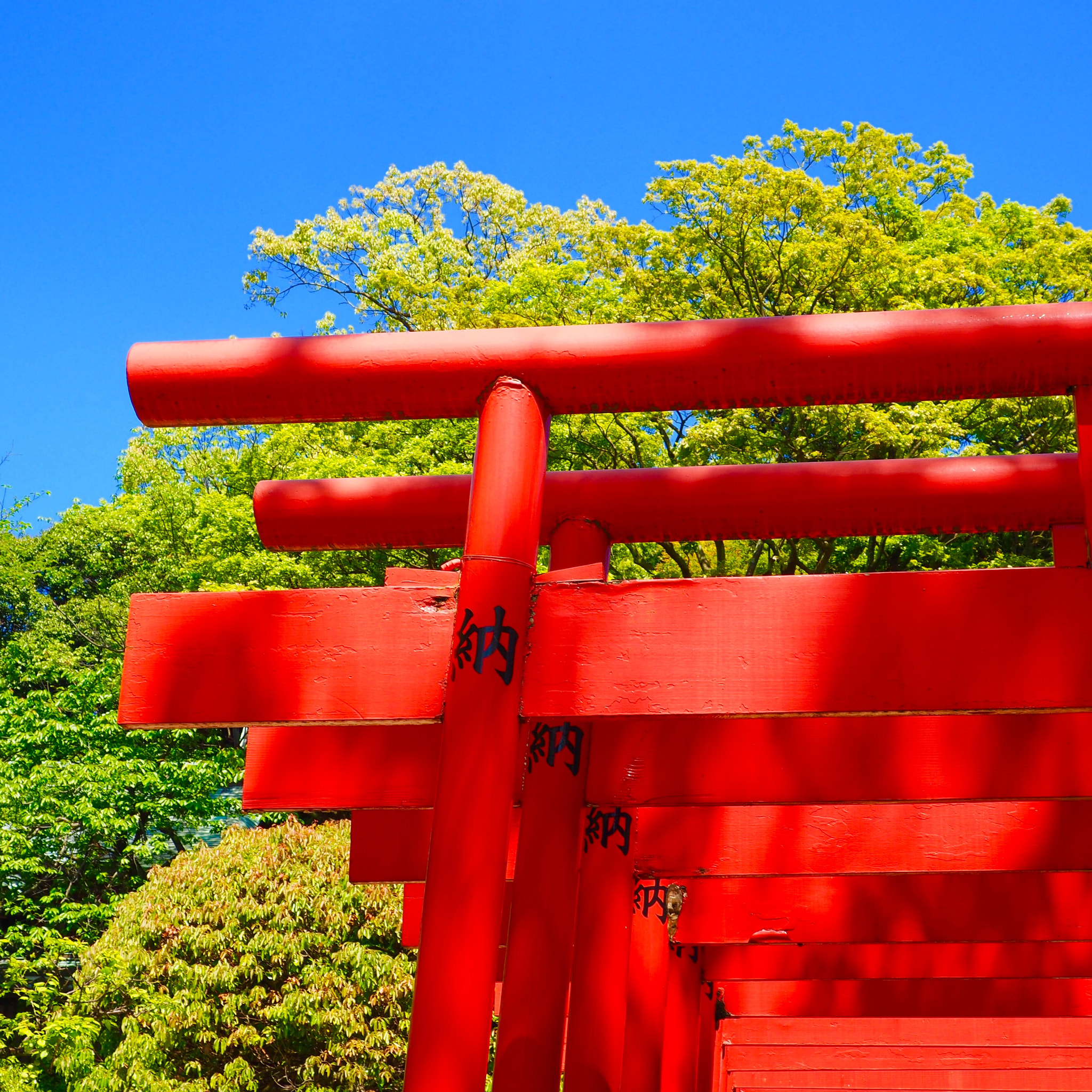 OLYMPUS M.12-50mm F3.5-6.3 sample photo. 鳥居 shrine gates photography