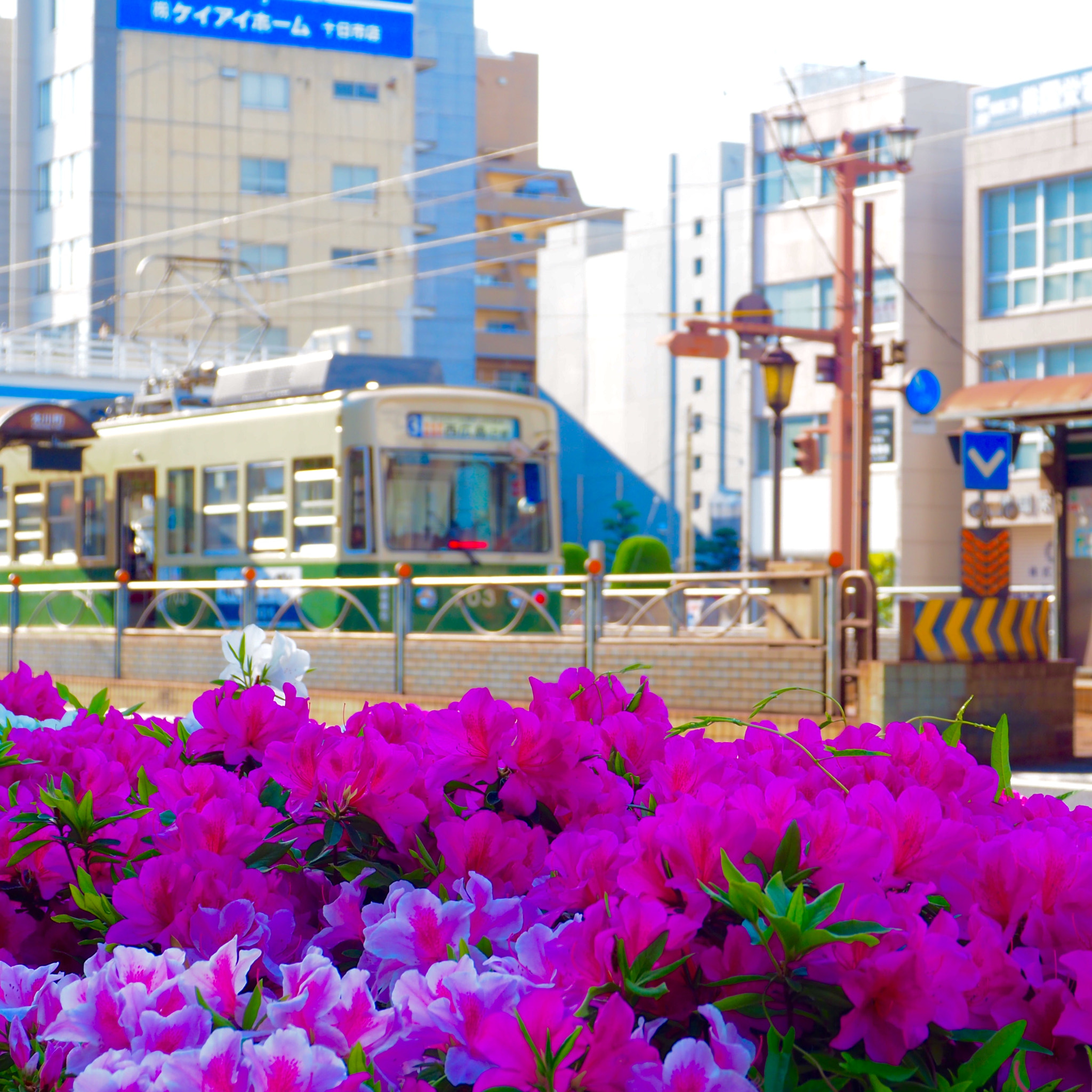 OLYMPUS M.12-50mm F3.5-6.3 sample photo. 本川町電停 honkawa-cho tram stop photography