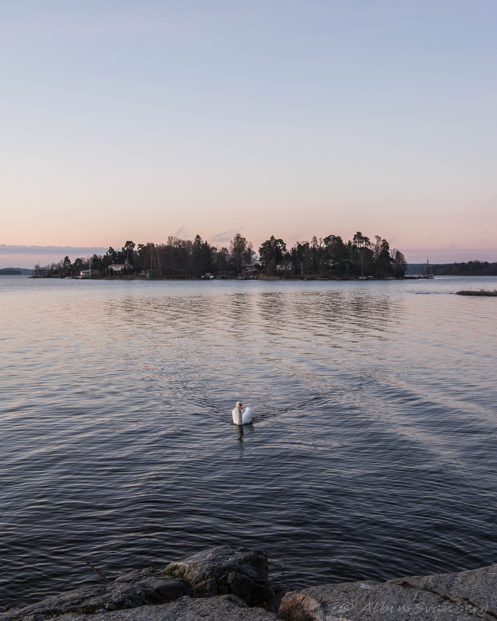 Nikon AF-S Nikkor 18-35mm F3.5-4.5G ED sample photo. Sunrise bird photography