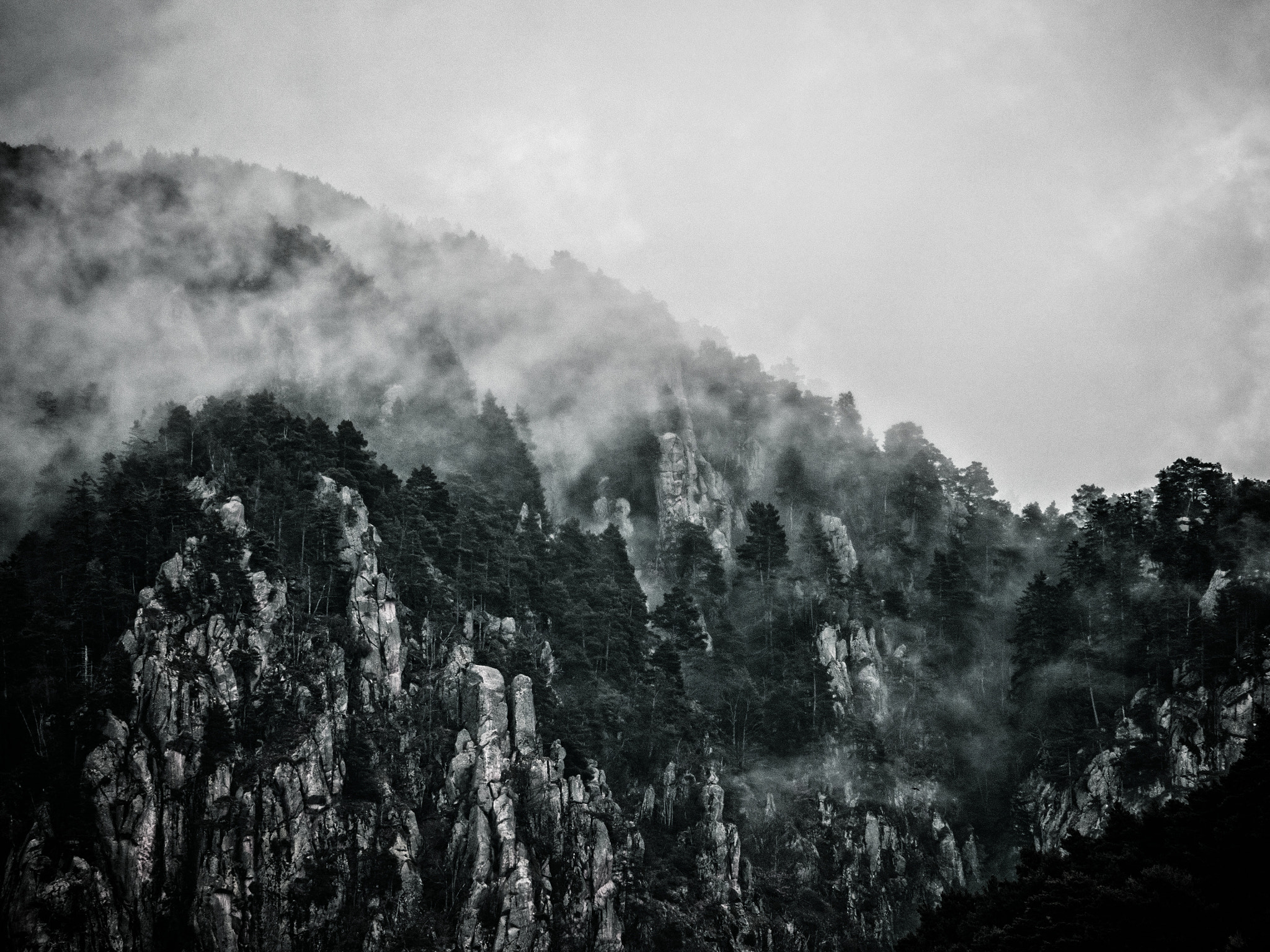 Olympus OM-D E-M10 II sample photo. The winter is coming photography