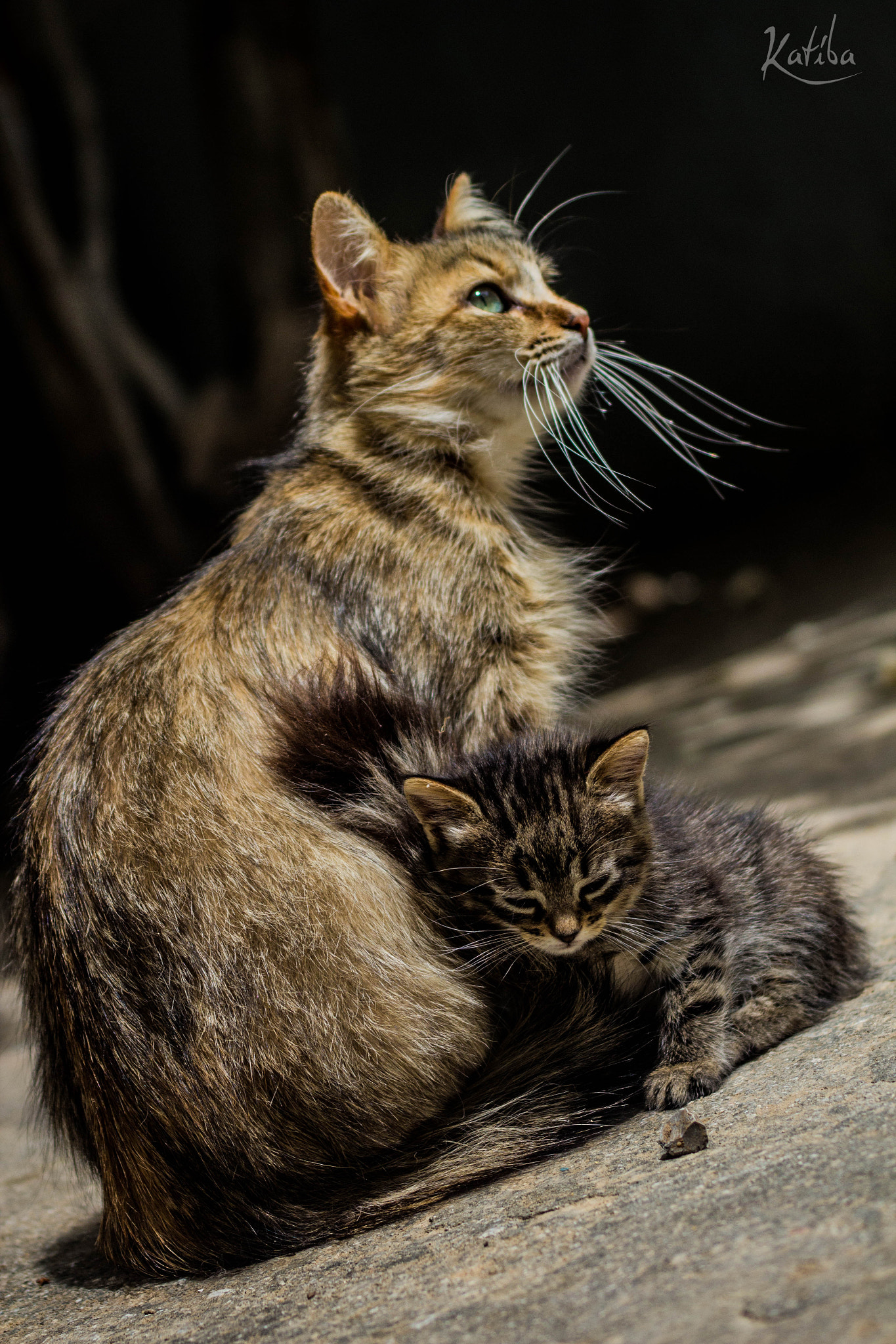 Canon EF 55-200mm F4.5-5.6 II USM sample photo. Motherhood photography