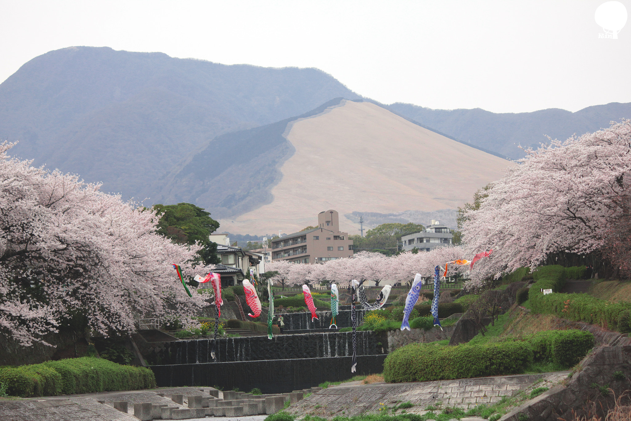 Canon EOS 550D (EOS Rebel T2i / EOS Kiss X4) sample photo. Beauty of beppu photography