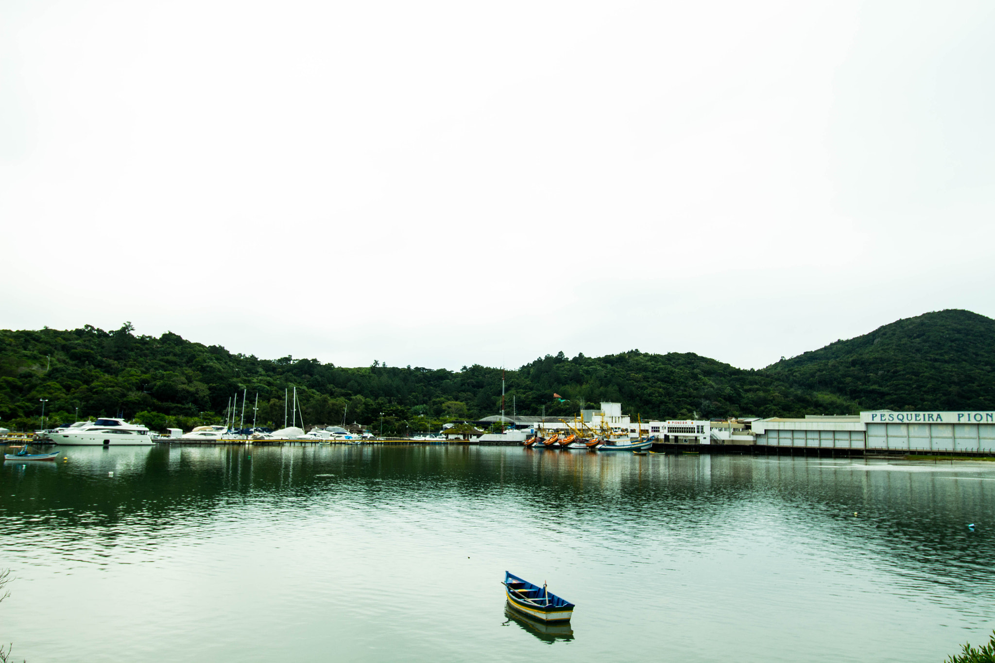 Canon EF-S 10-18mm F4.5–5.6 IS STM sample photo. Alone photography