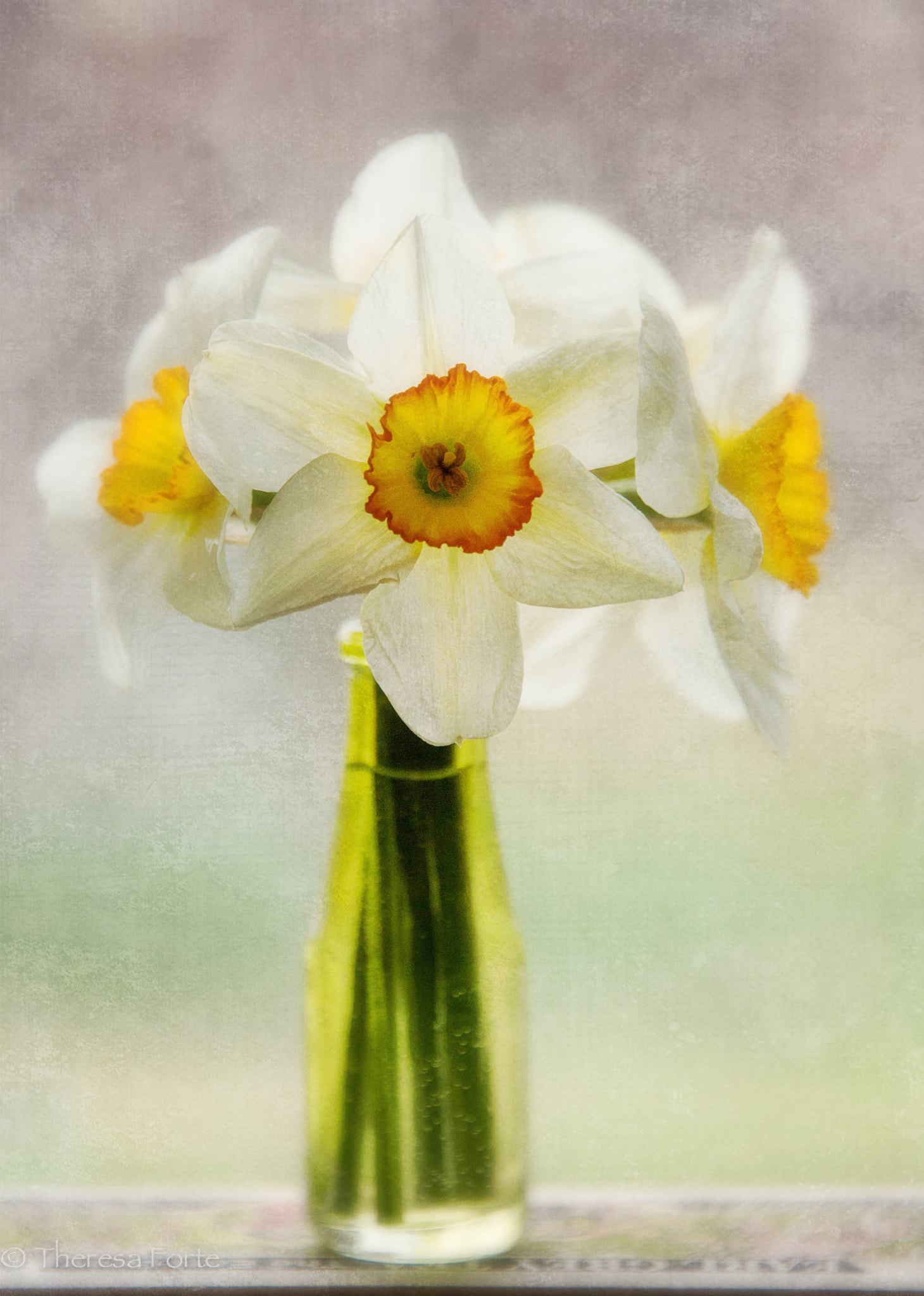 Nikon Df sample photo. Daffodils on the windowsill photography