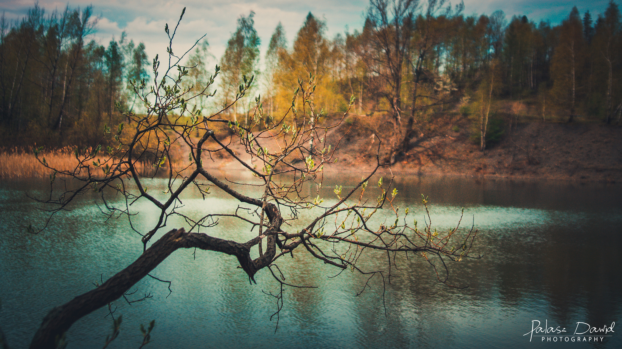 Sony SLT-A57 sample photo. Colorful quarry photography