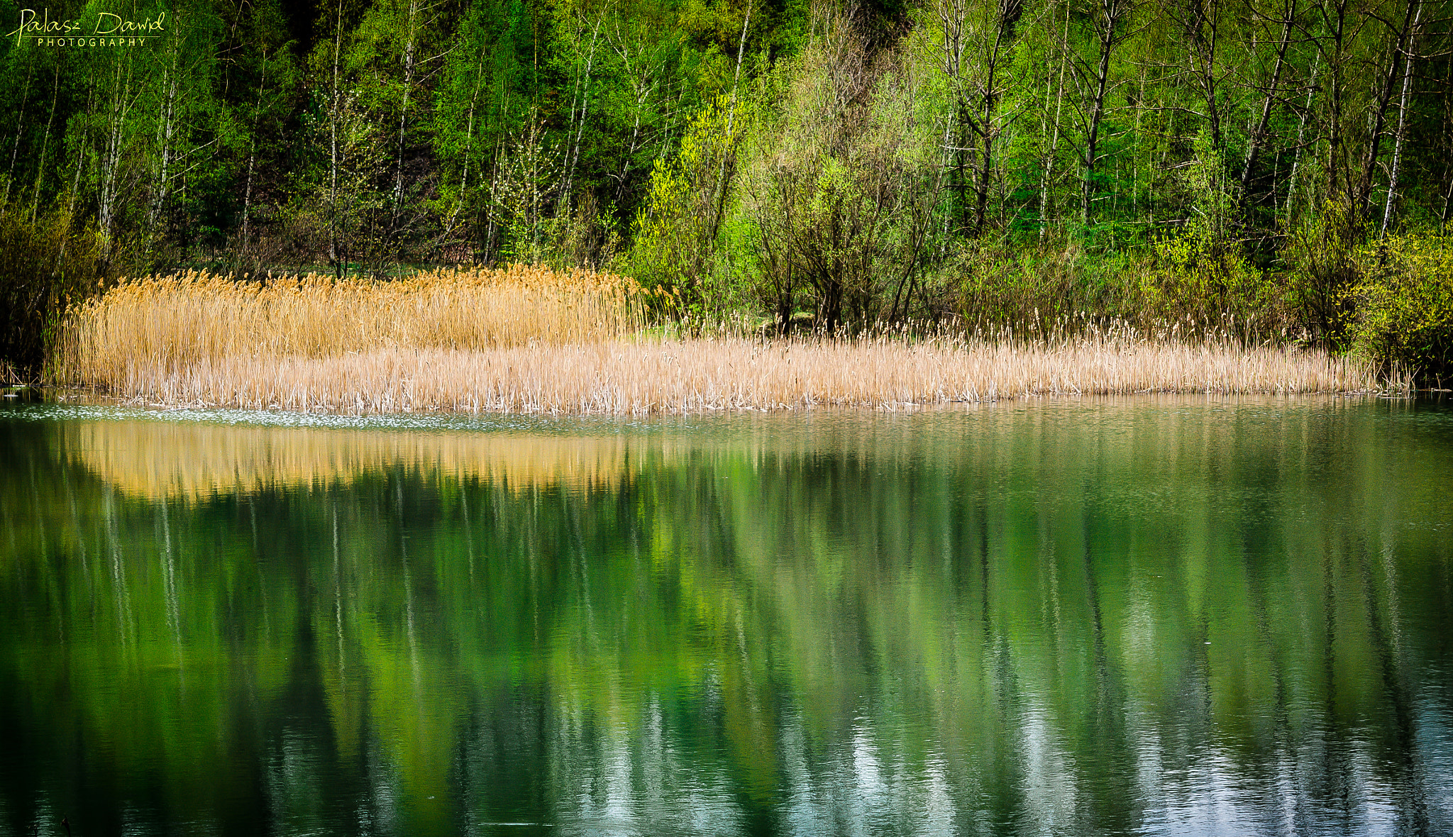 Sony SLT-A57 sample photo. Lake in the quarry photography