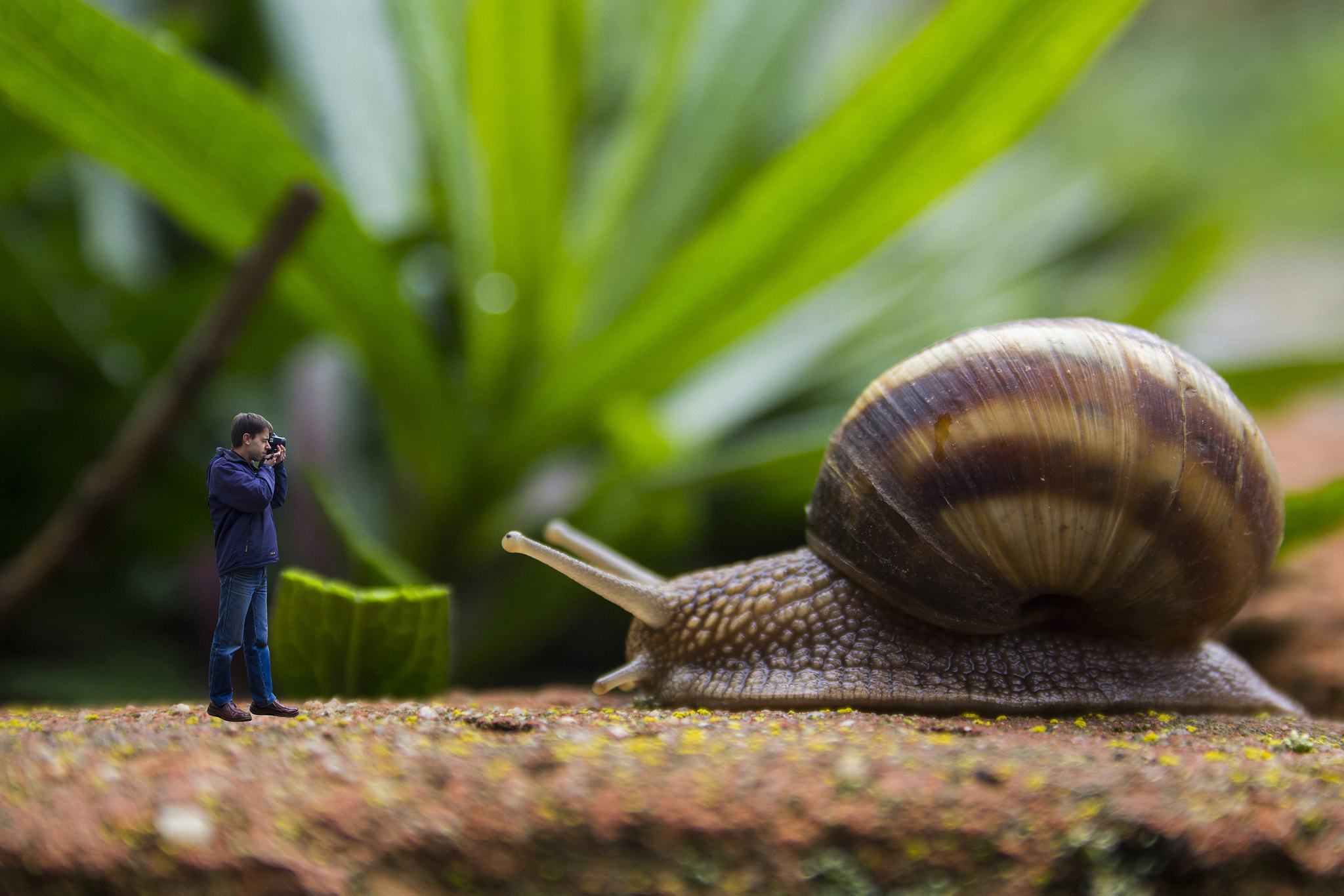 Canon EF-S 18-55mm F3.5-5.6 sample photo. Hunting for snails :) photography