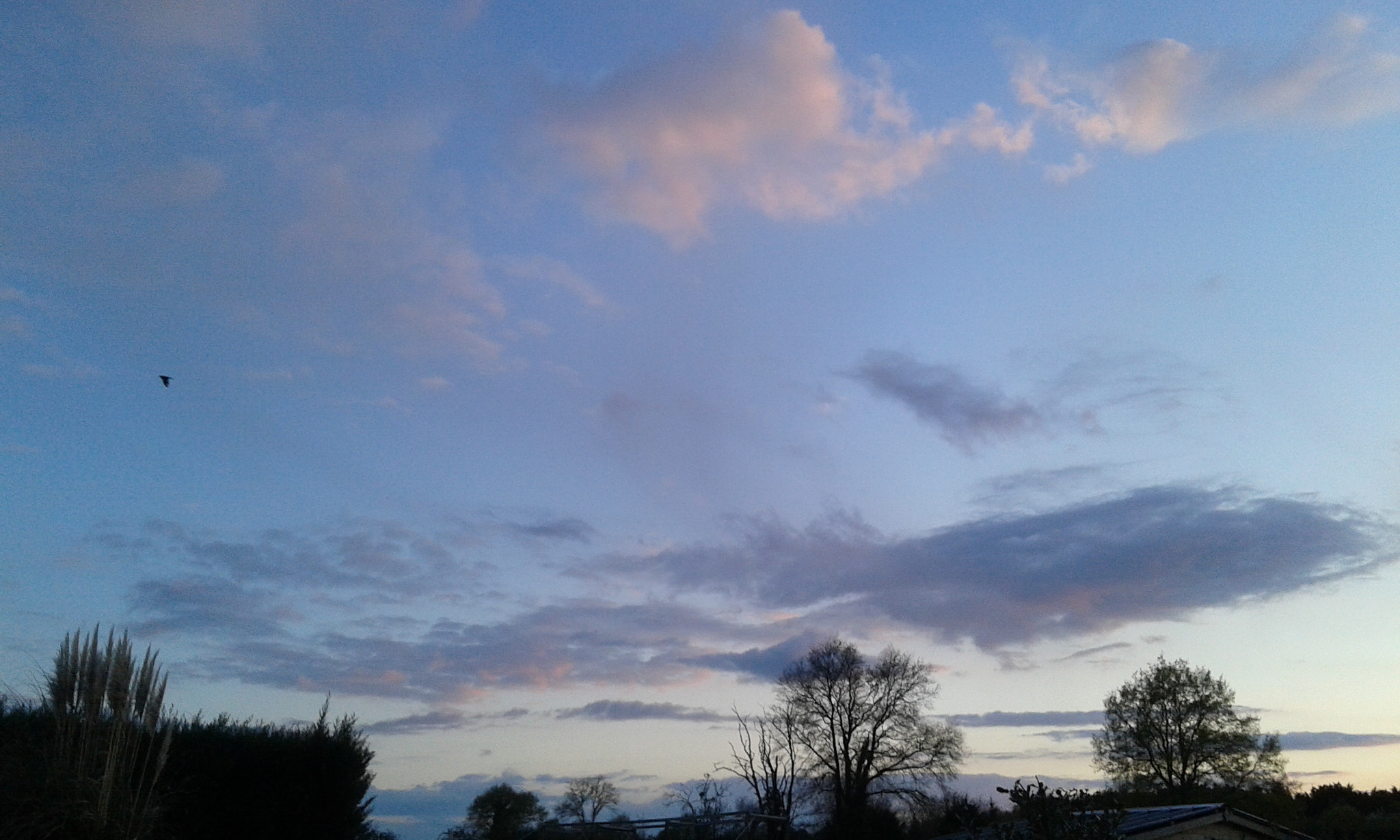 Samsung Galaxy Core Plus sample photo