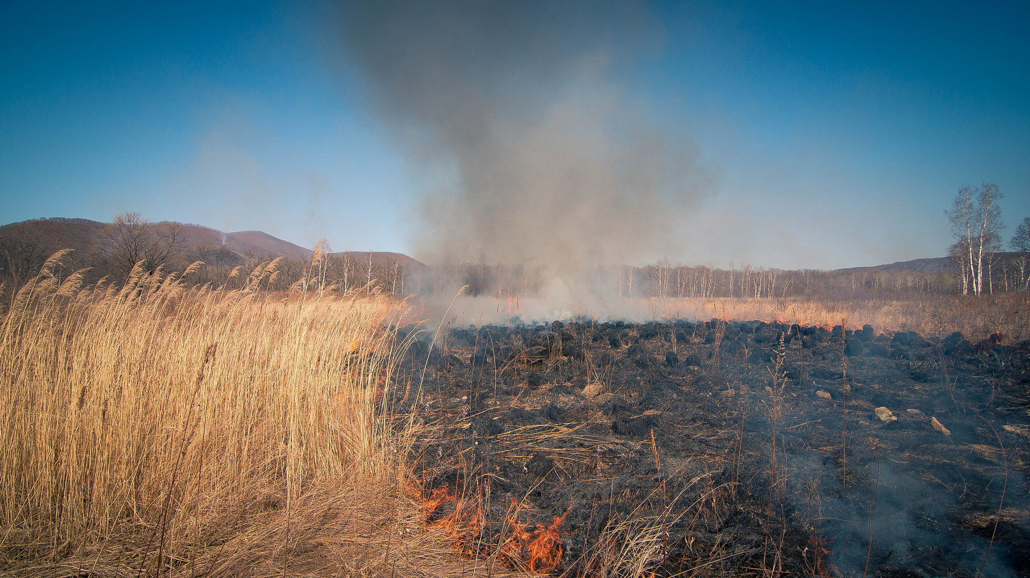 Sony SLT-A33 + 20mm F2.8 sample photo. Fire photography