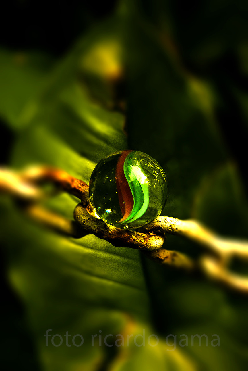 Nikon D200 sample photo. Foto ricardo gama () photography