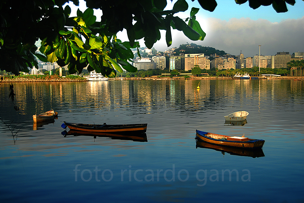 Nikon D200 sample photo. Foto ricardo gama () photography