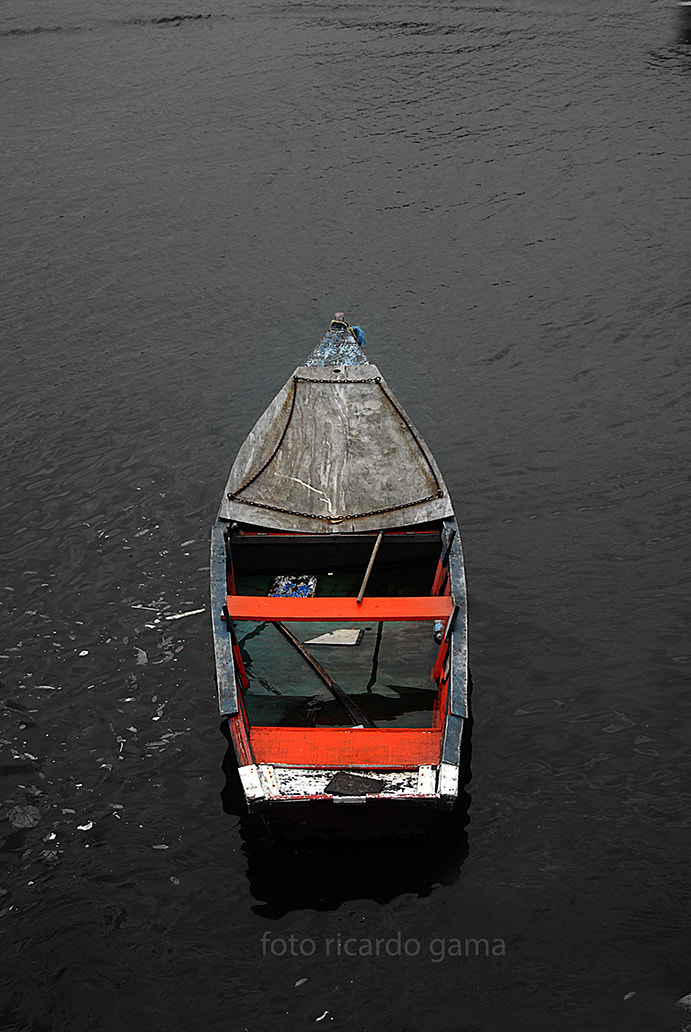 Nikon D200 sample photo. Foto ricardo gama () photography