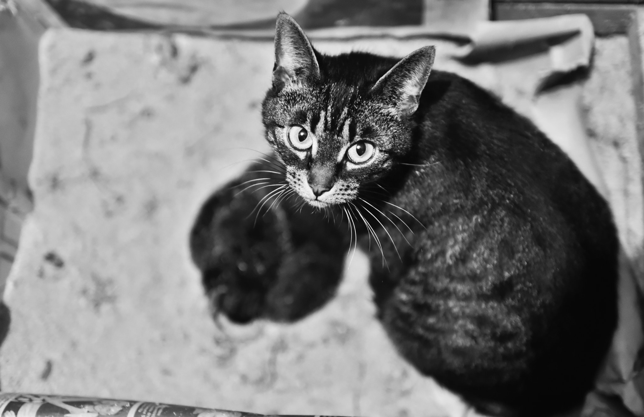 Nikon D750 + AF Micro-Nikkor 105mm f/2.8 sample photo. Family photography