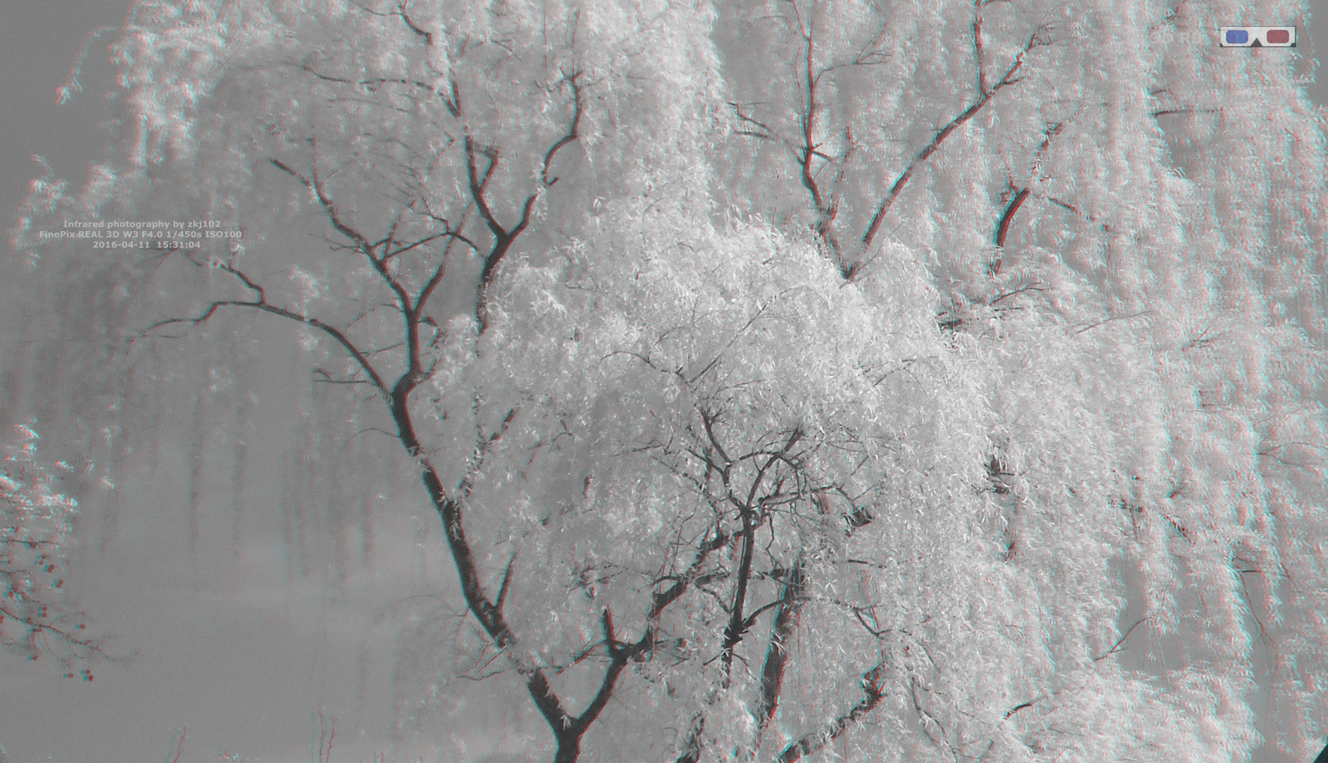 Fujifilm FinePix Real 3D W3 sample photo. 3d park infrared photography