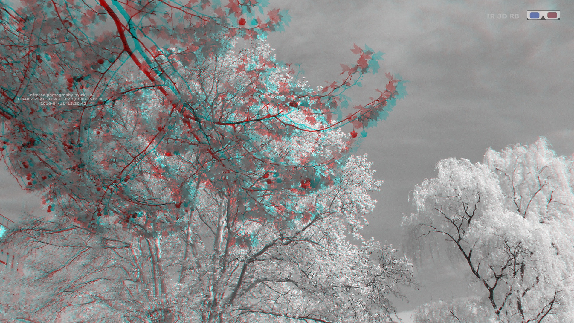 Fujifilm FinePix Real 3D W3 sample photo. Park infrared photography