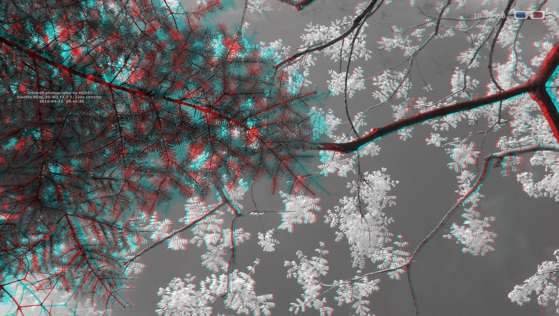 Fujifilm FinePix Real 3D W3 sample photo. 3d ir photography