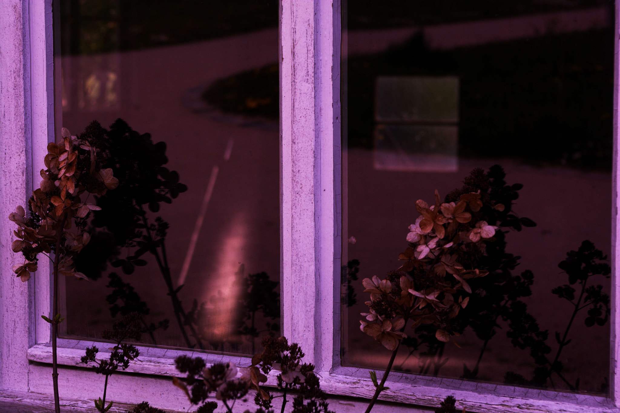 Manual Lens No CPU sample photo. Windowing photography