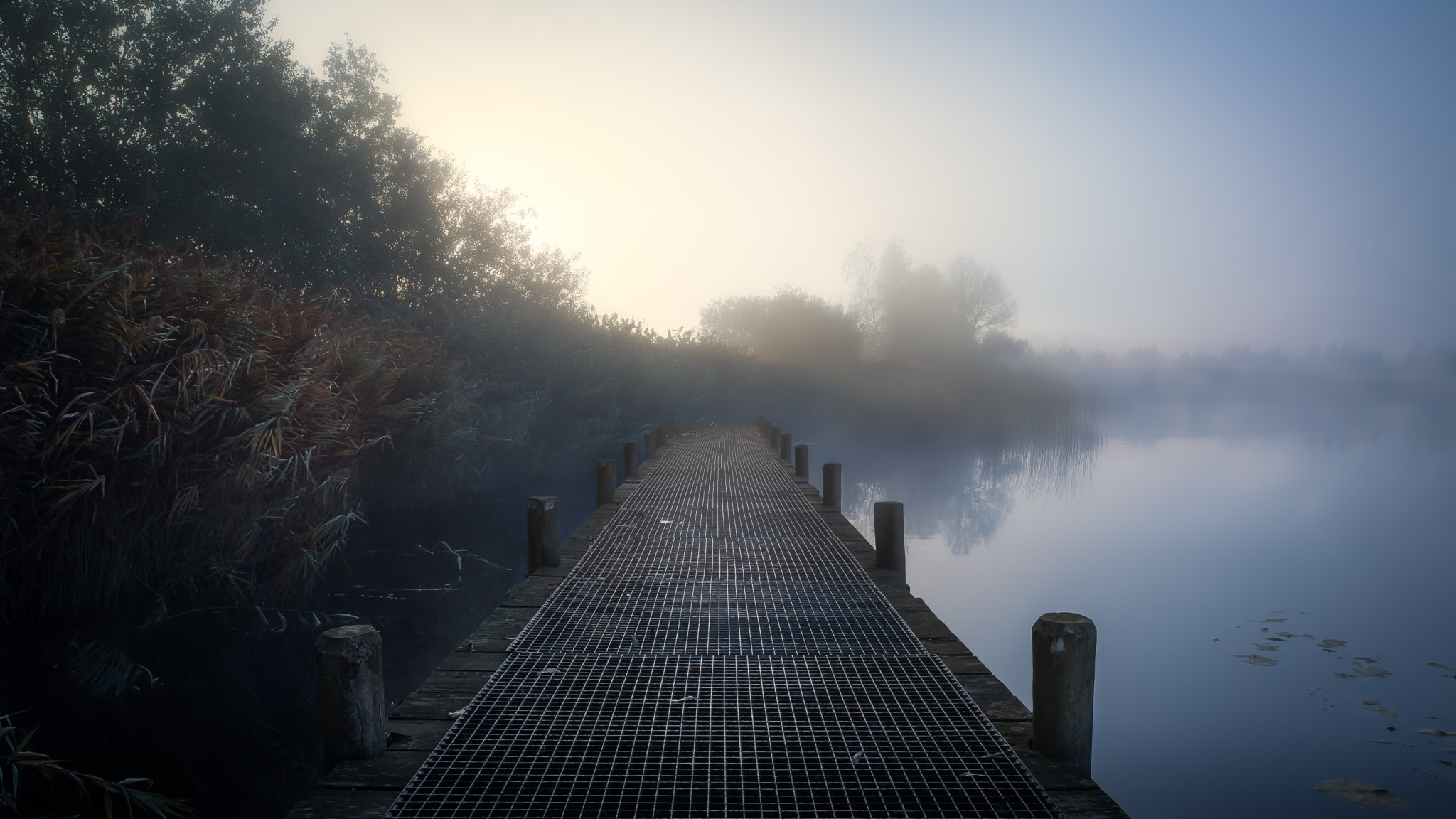 Nikon D750 + Nikon PC-E Nikkor 24mm F3.5D ED Tilt-Shift sample photo. Misty morning in  budel-ringselven photography