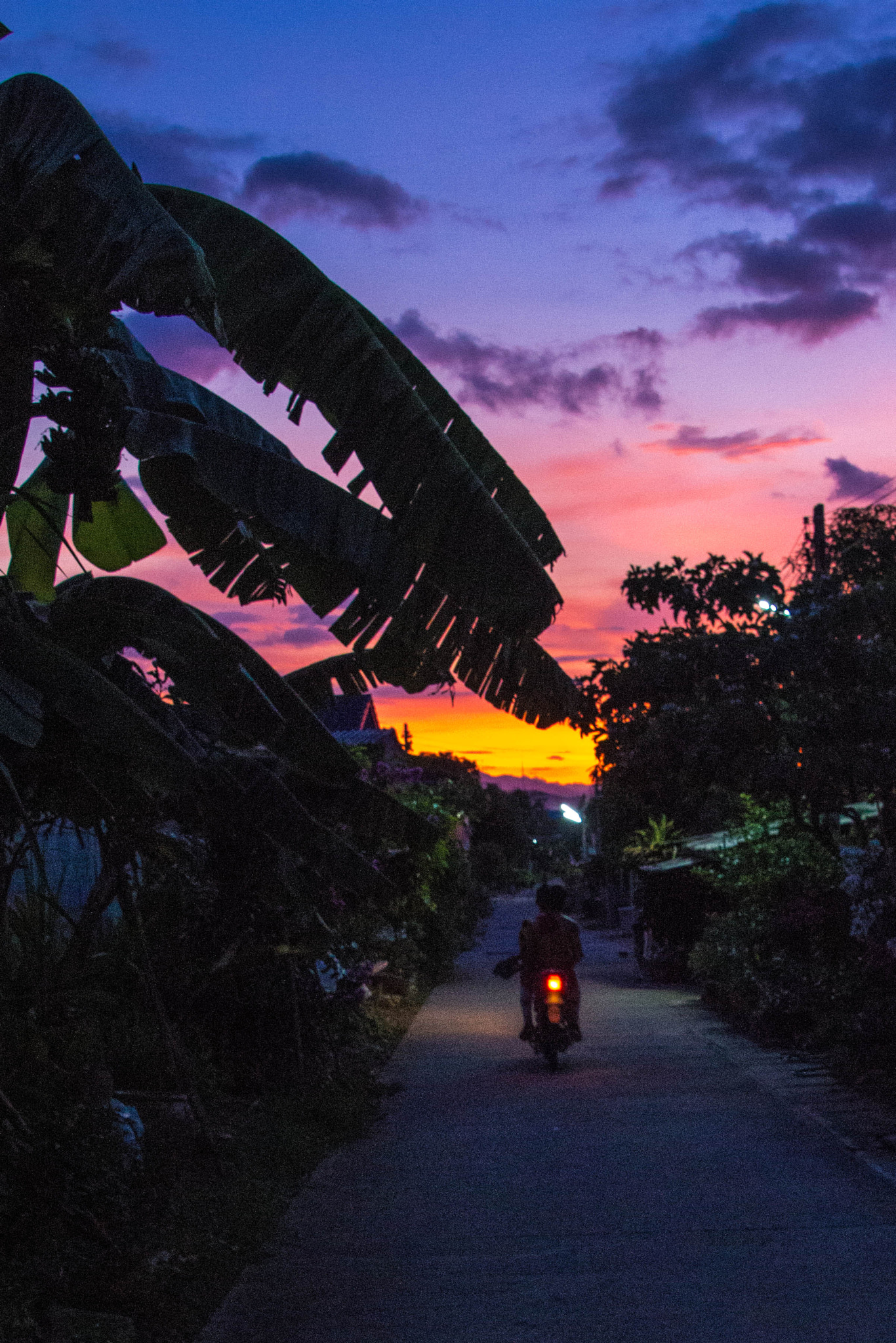 Canon EOS 100D (EOS Rebel SL1 / EOS Kiss X7) sample photo. Rural sunset photography