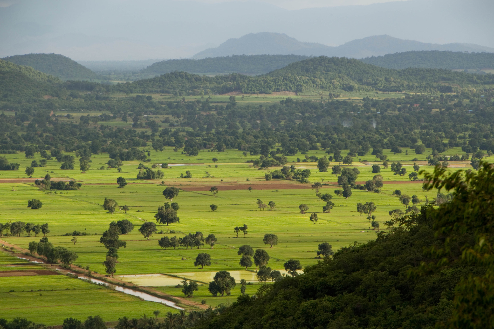 Canon EOS 100D (EOS Rebel SL1 / EOS Kiss X7) sample photo. Plains of battambang photography