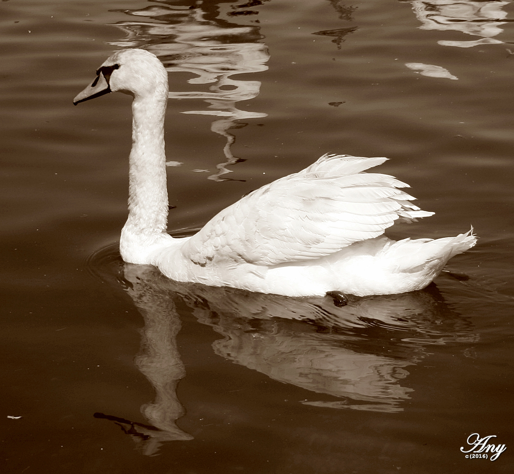 Canon EF-S 18-55mm F3.5-5.6 sample photo. Dunapart photography
