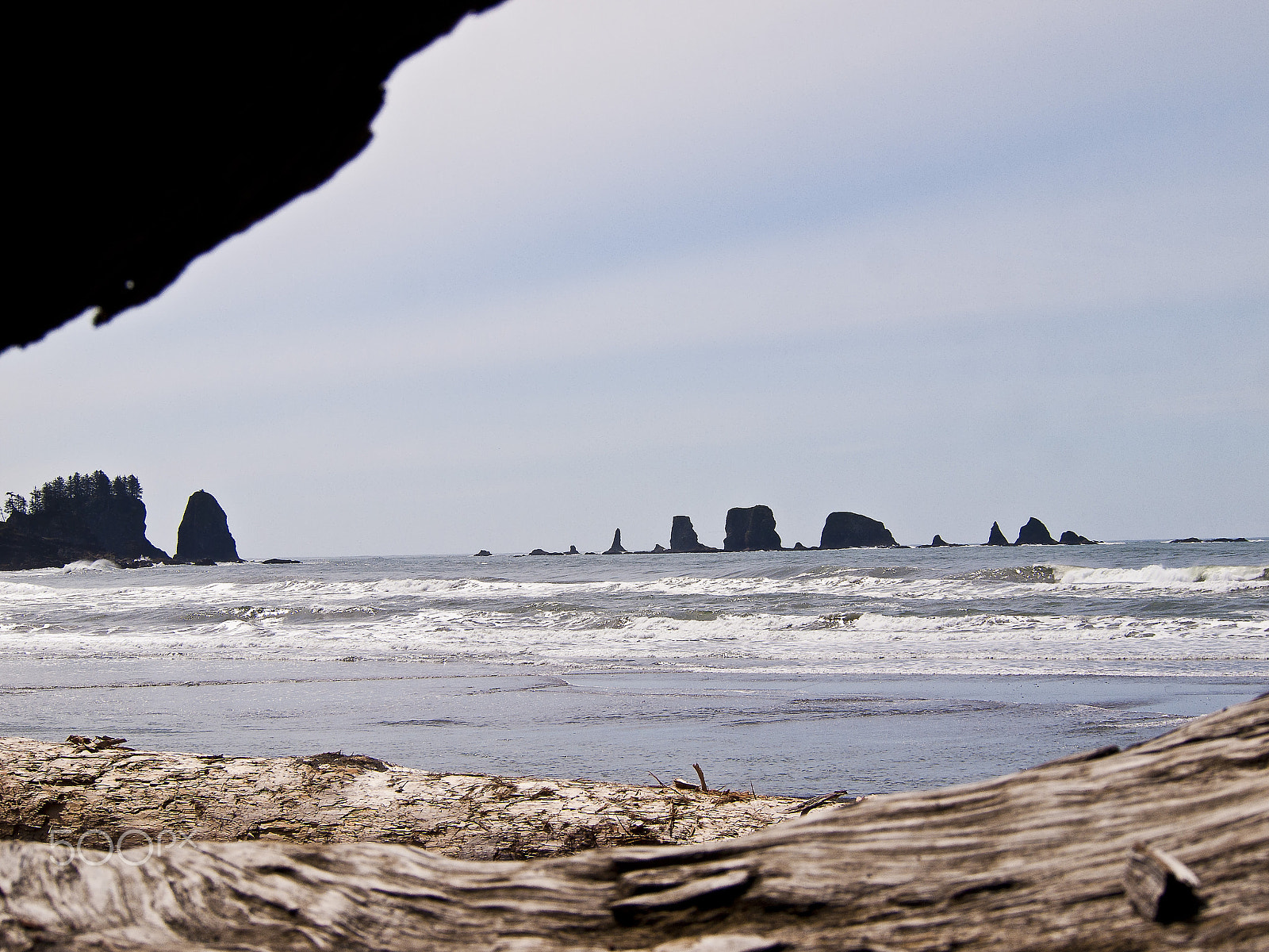 Olympus PEN E-P1 sample photo. 1st beach at la push photography