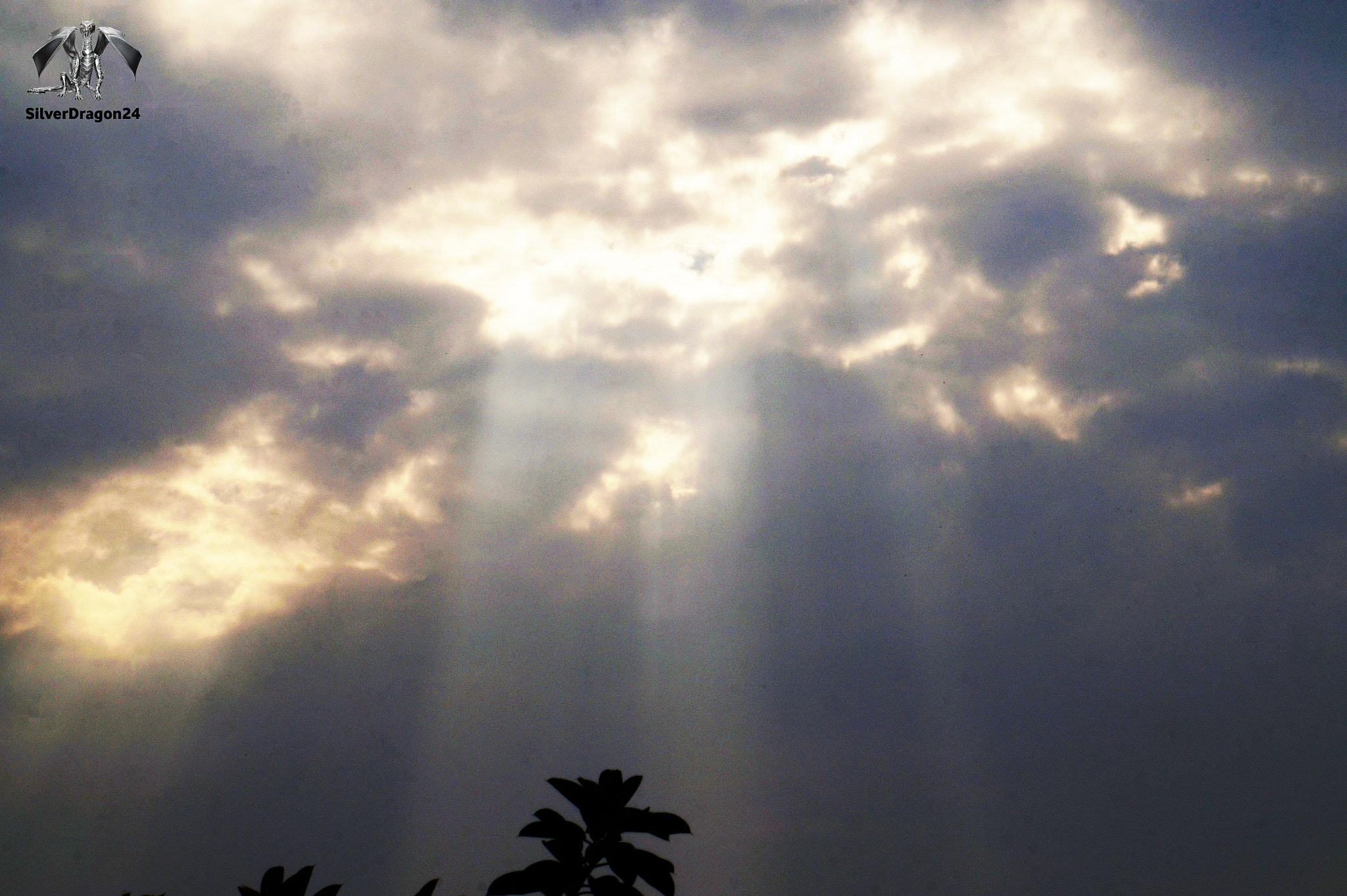 Sony Alpha a3500 sample photo. There's something about the sunshine. photography
