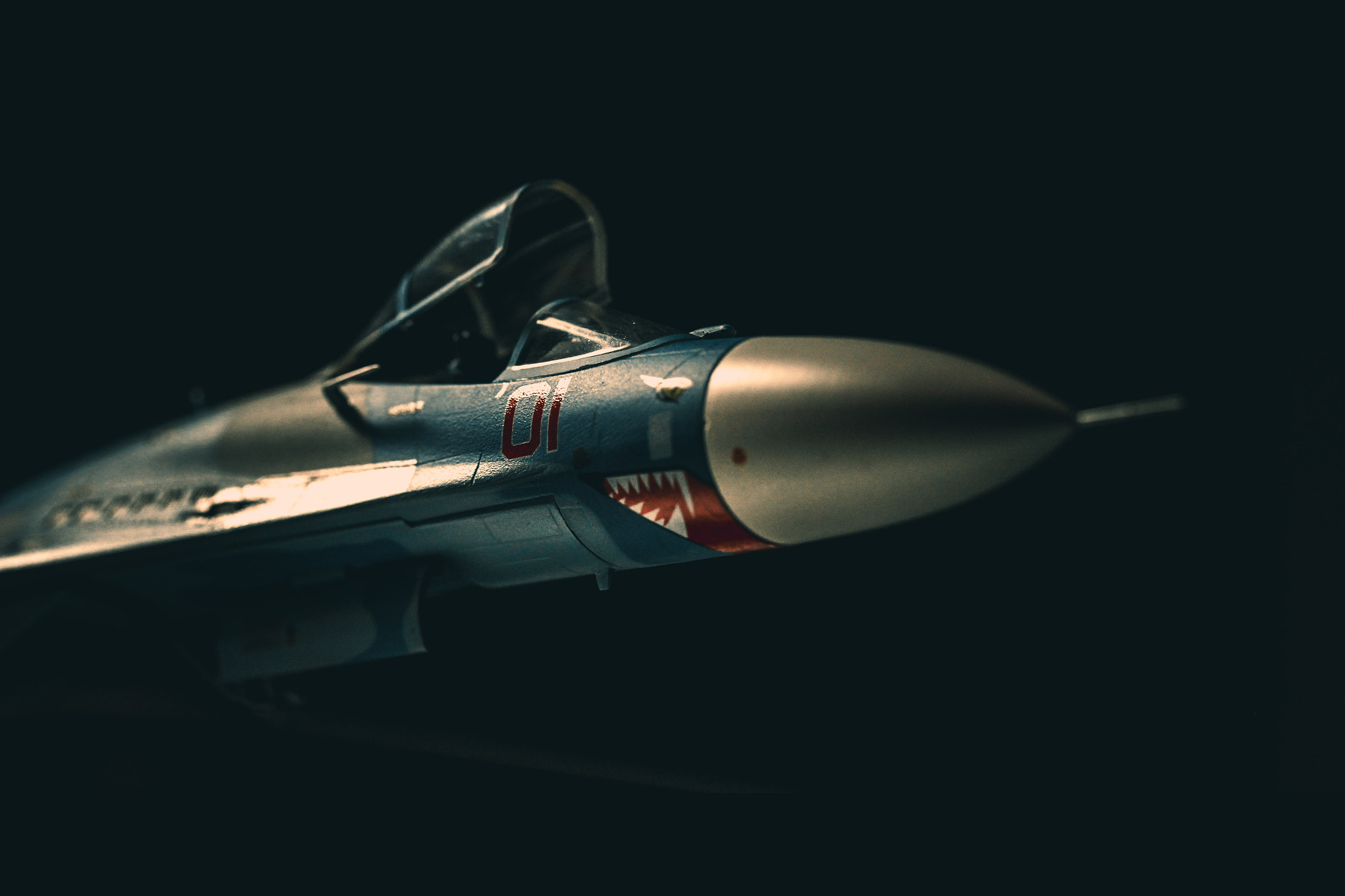 Canon EOS 550D (EOS Rebel T2i / EOS Kiss X4) sample photo. Su-27 flanker photography