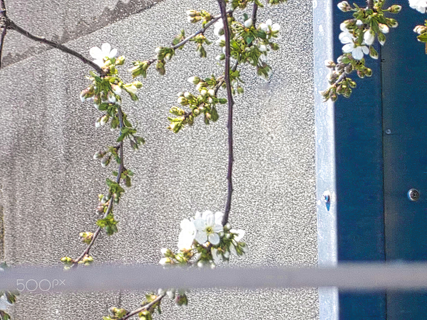 Fujifilm FinePix JX600 sample photo. Nature vs industry photography