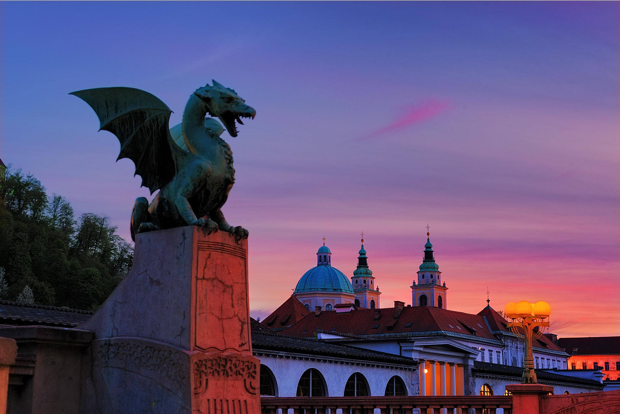 Nikon D610 + Nikon AF Micro-Nikkor 60mm F2.8D sample photo. Dragons of ljubljana photography