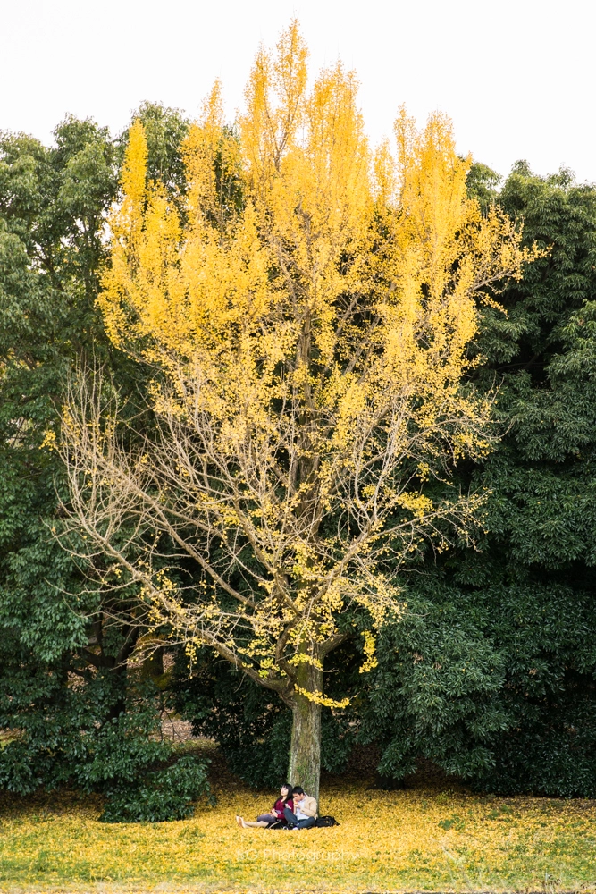 Sony a7 + Canon EF 85mm F1.2L II USM sample photo. Gingko couple. photography