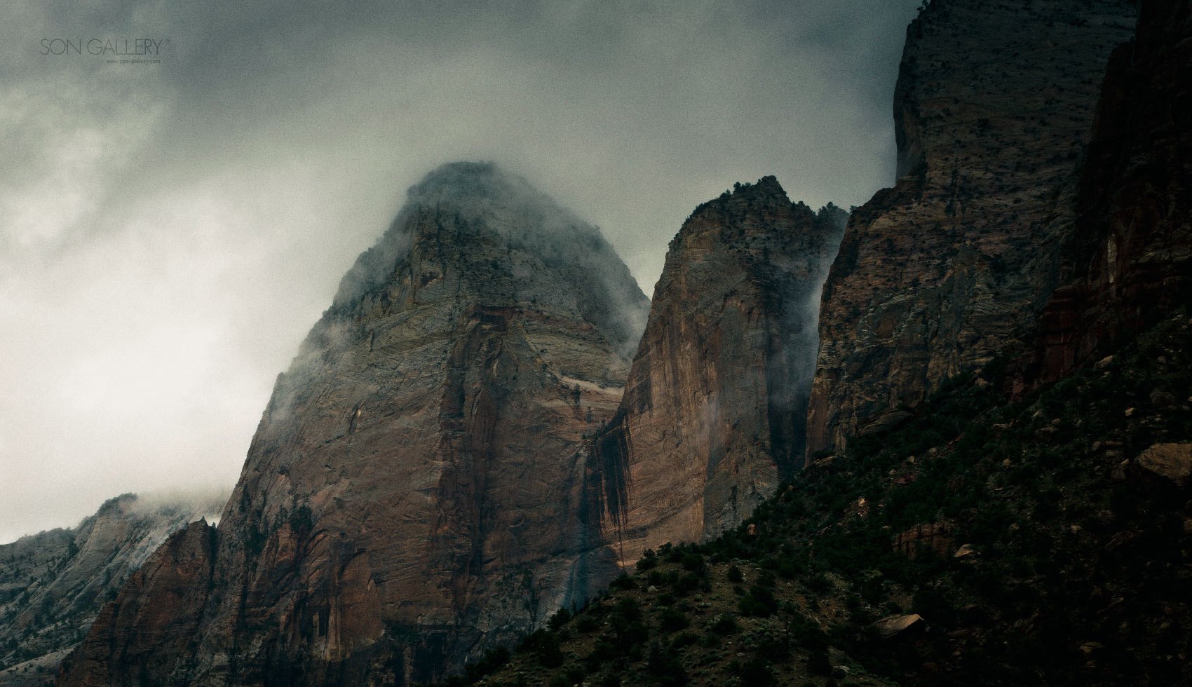 Nikon D3X sample photo. Zion photography