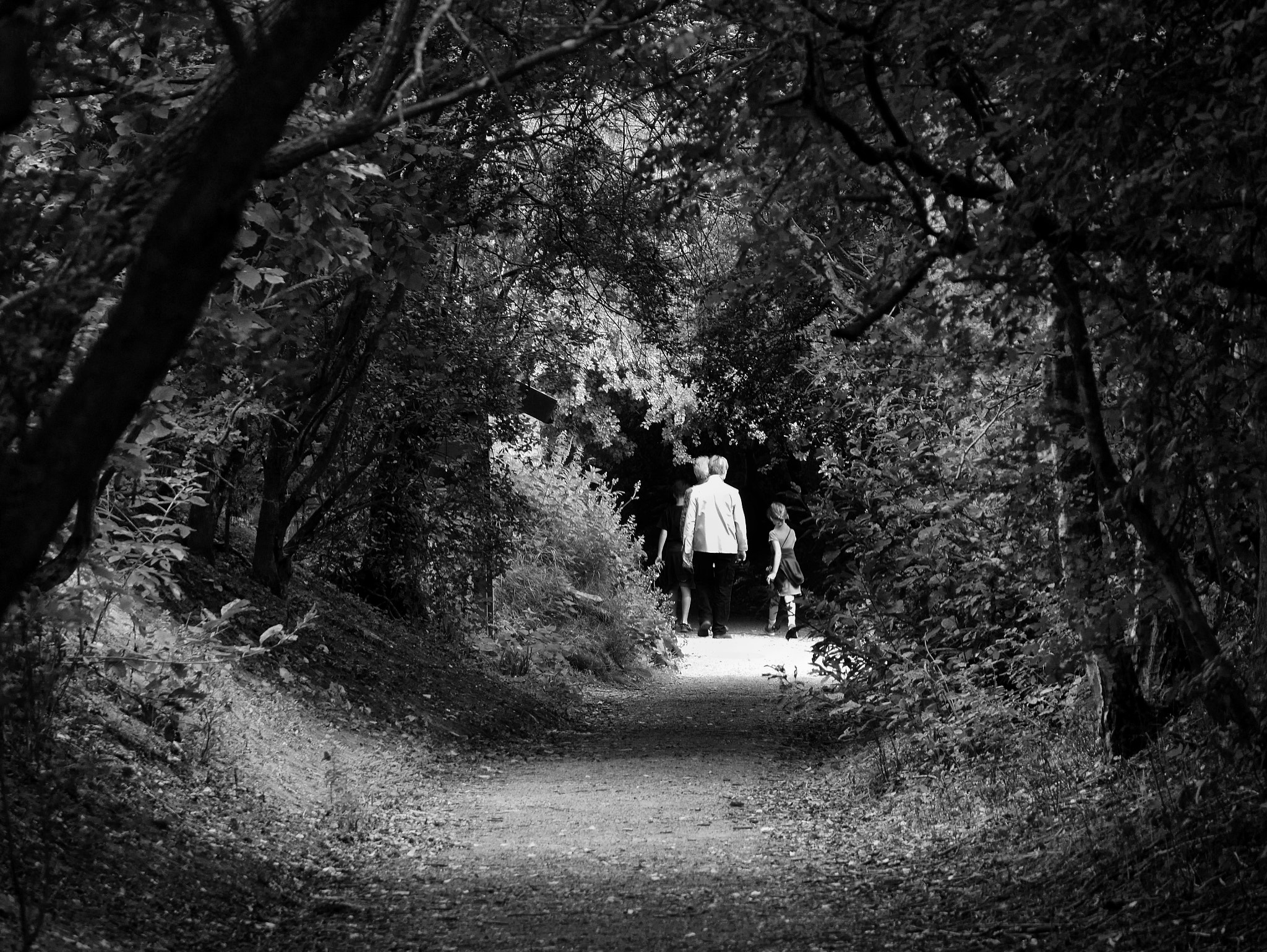 LUMIX G VARIO 35-100/F4.0-5.6 sample photo. The tunnel walk. photography