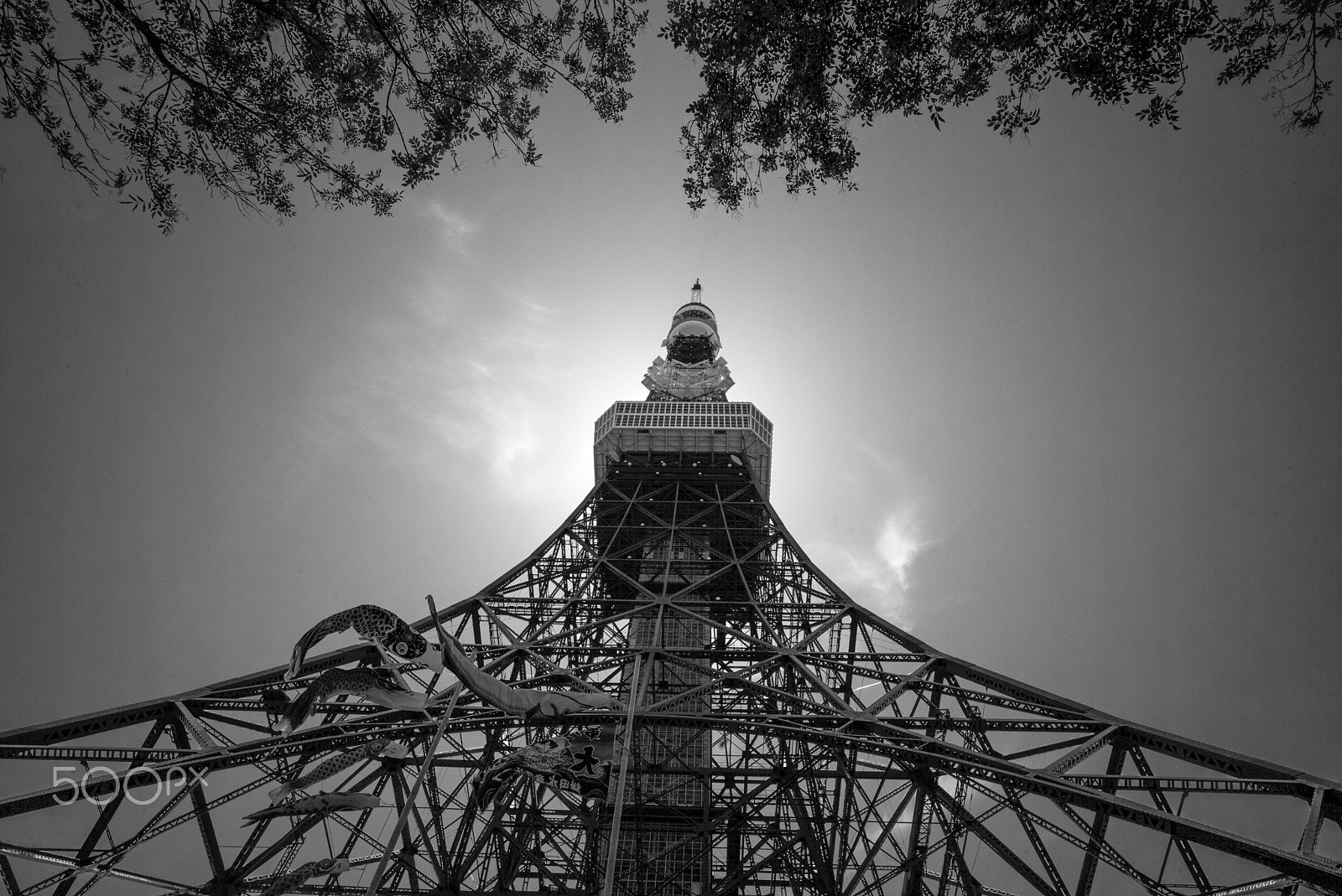 Leica Super-Elmar-M 21mm F3.4 ASPH sample photo. Tokyo tower photography