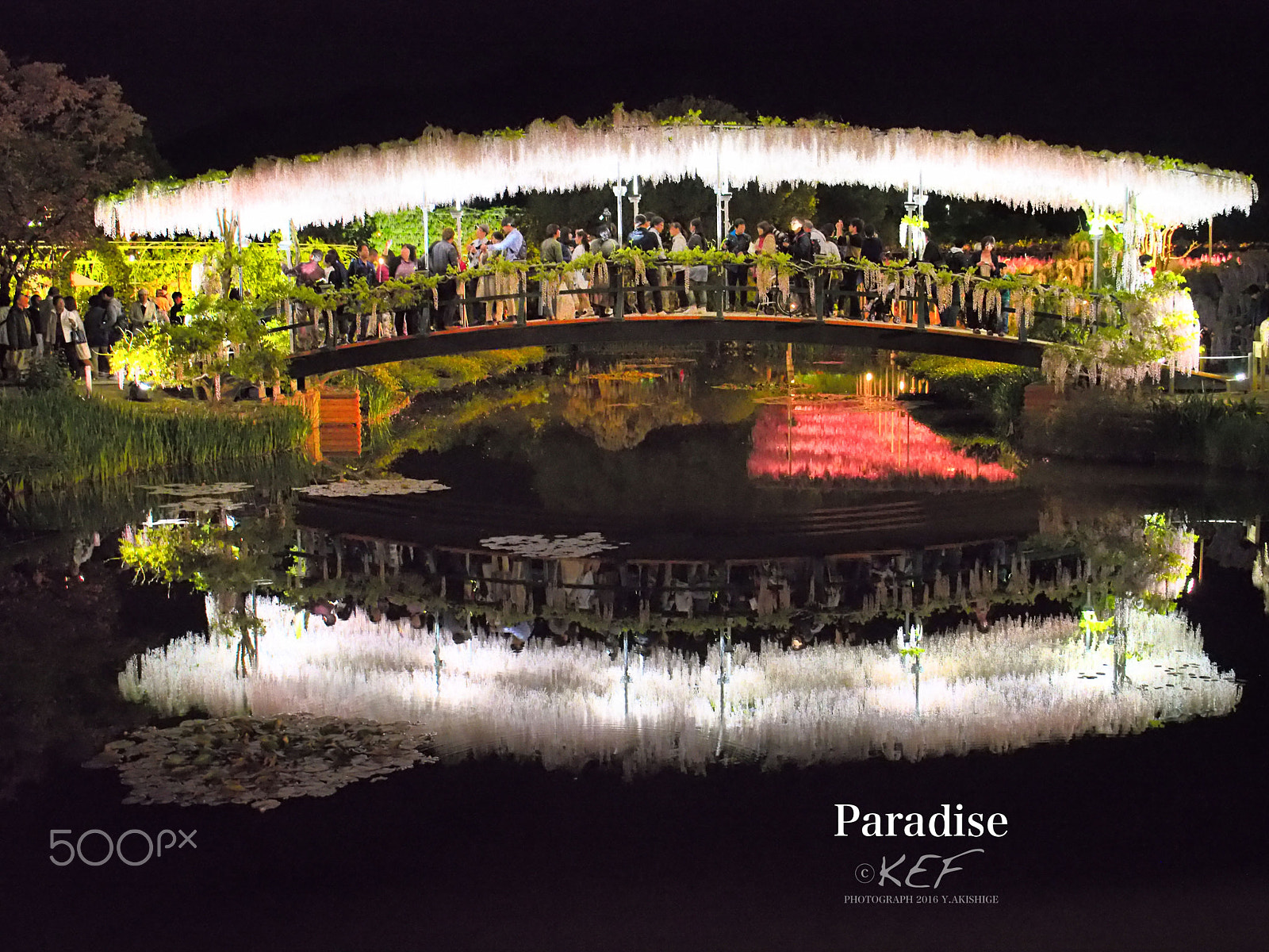 Panasonic Lumix G X Vario 12-35mm F2.8 ASPH Power OIS sample photo. Paradise photography