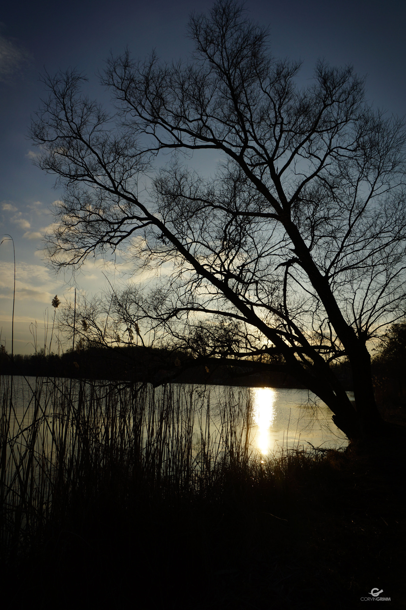 Sony DT 16-105mm F3.5-5.6 sample photo. Lakeside  photography