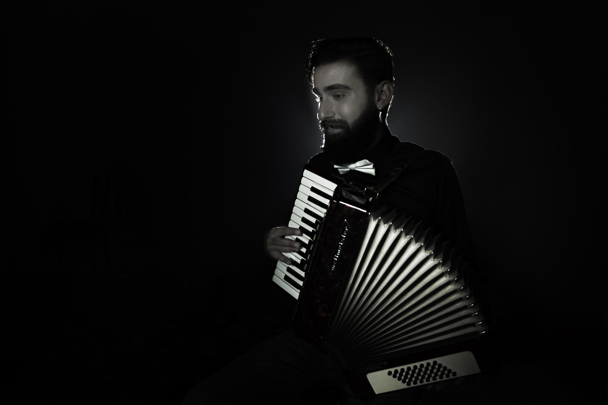 Sigma 17-70mm F2.8-4 DC Macro OS HSM sample photo. Accordion man photography