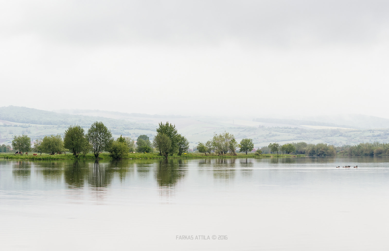 Nikon D60 sample photo. The river... photography