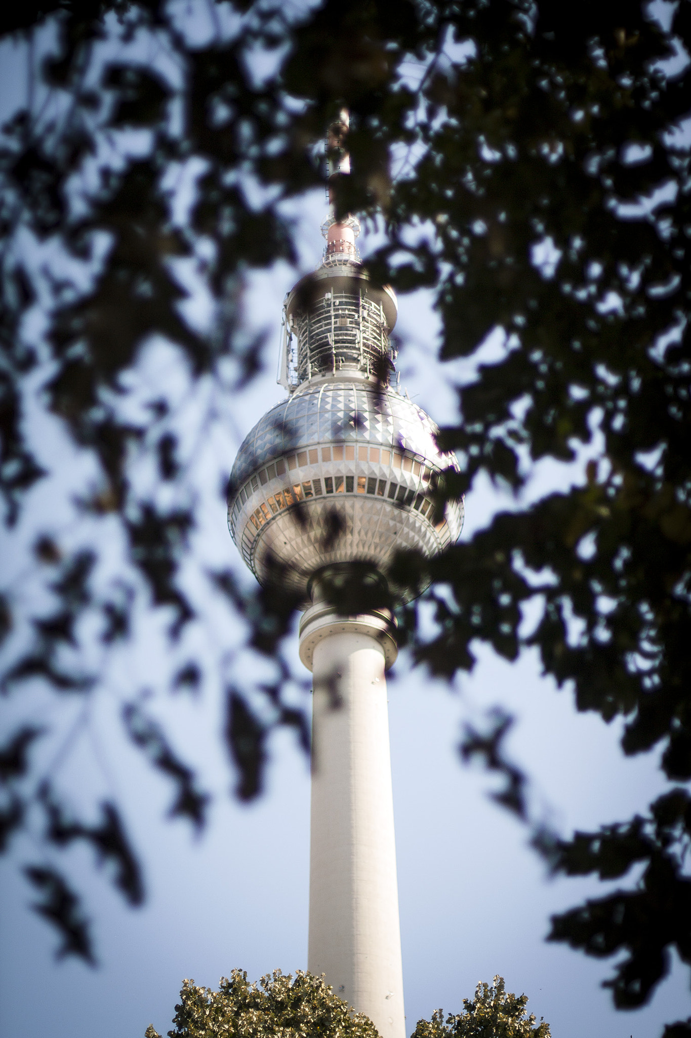 Canon EOS 450D (EOS Rebel XSi / EOS Kiss X2) + Canon EF 50mm F1.4 USM sample photo. Berlin fernsehturm photography