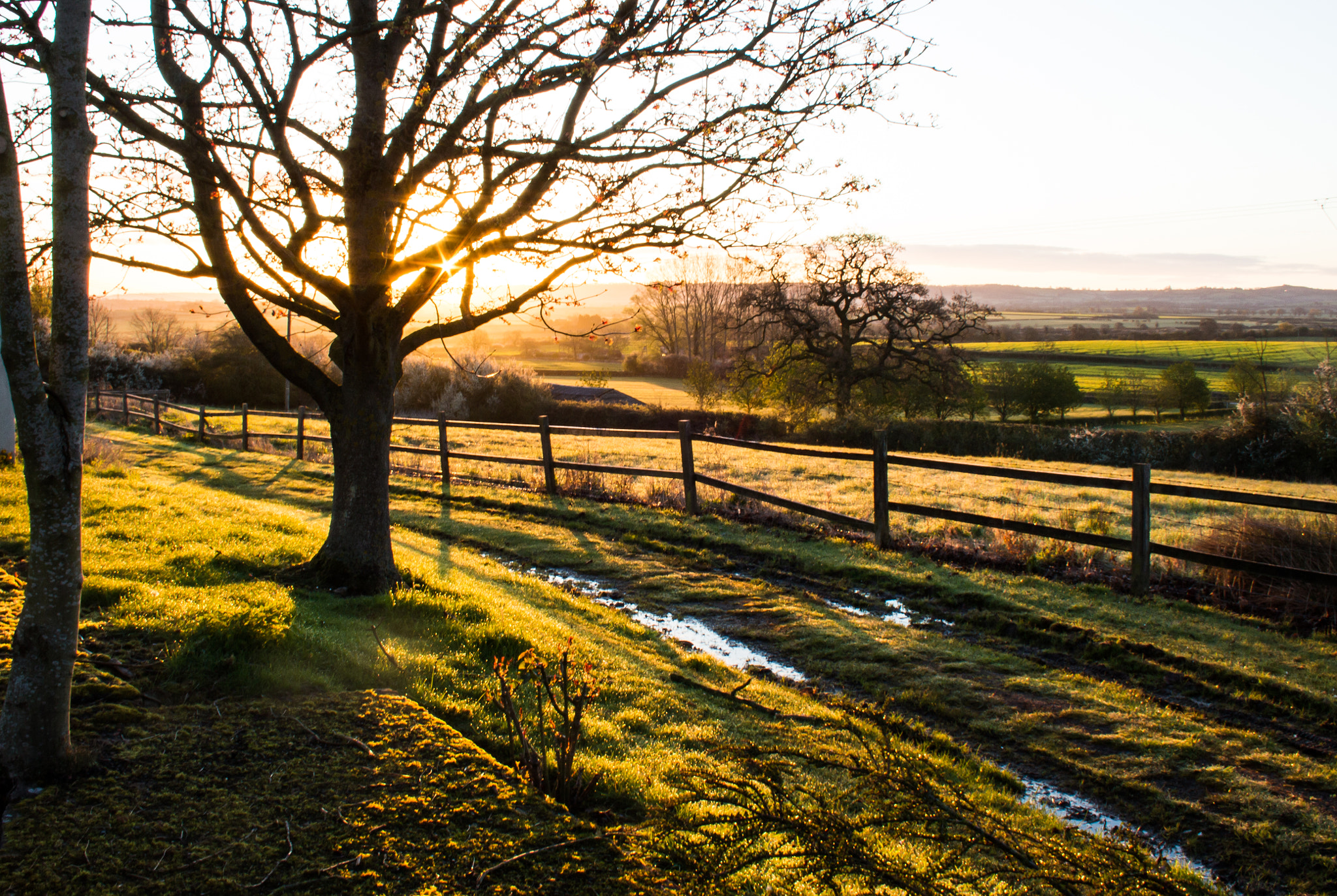 Canon EF-S 18-55mm F3.5-5.6 sample photo. Sunrise shadows photography