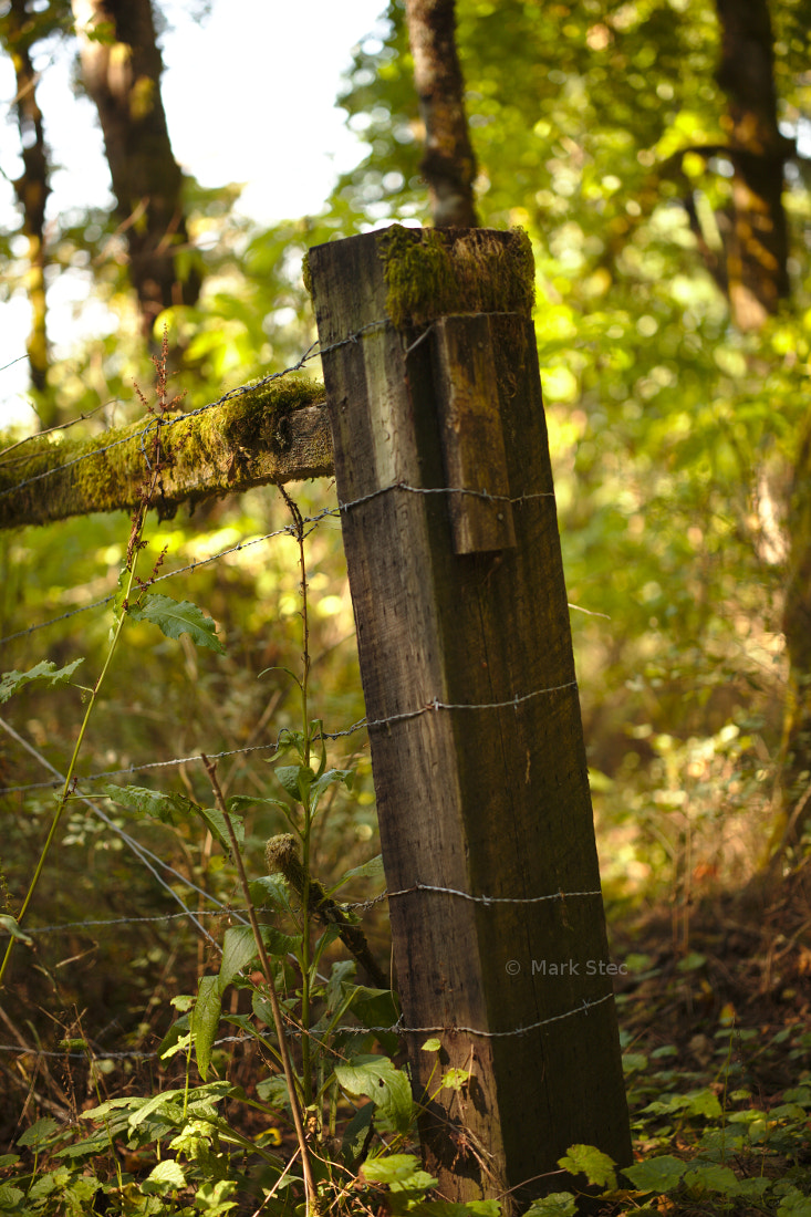 ZEISS Otus 55mm F1.4 sample photo. Fence photography