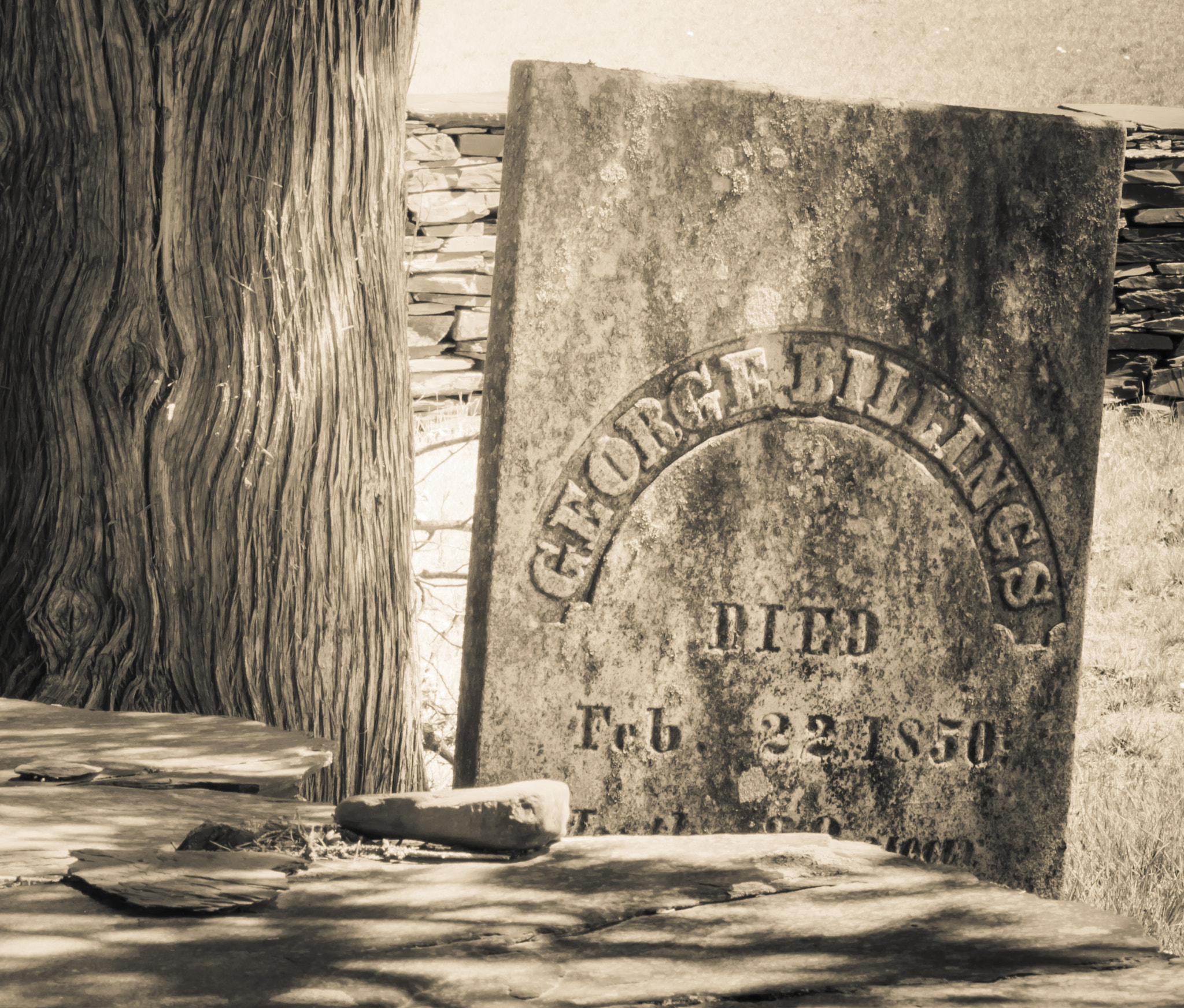 Panasonic Lumix DMC-GF5 + Sigma 60mm F2.8 DN Art sample photo. Revolutionary war cemetary photography