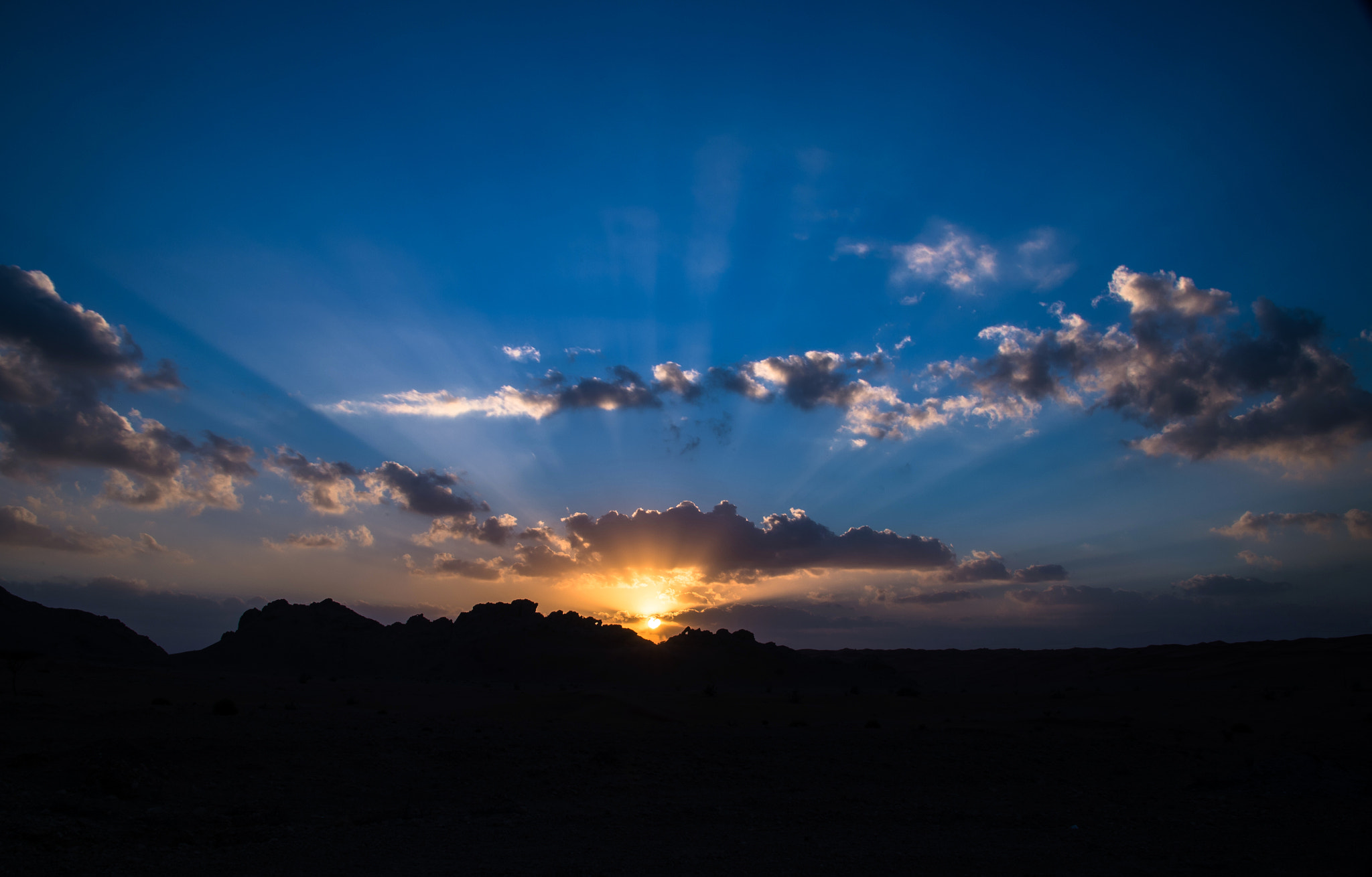 Nikon D4 sample photo. Sun photography