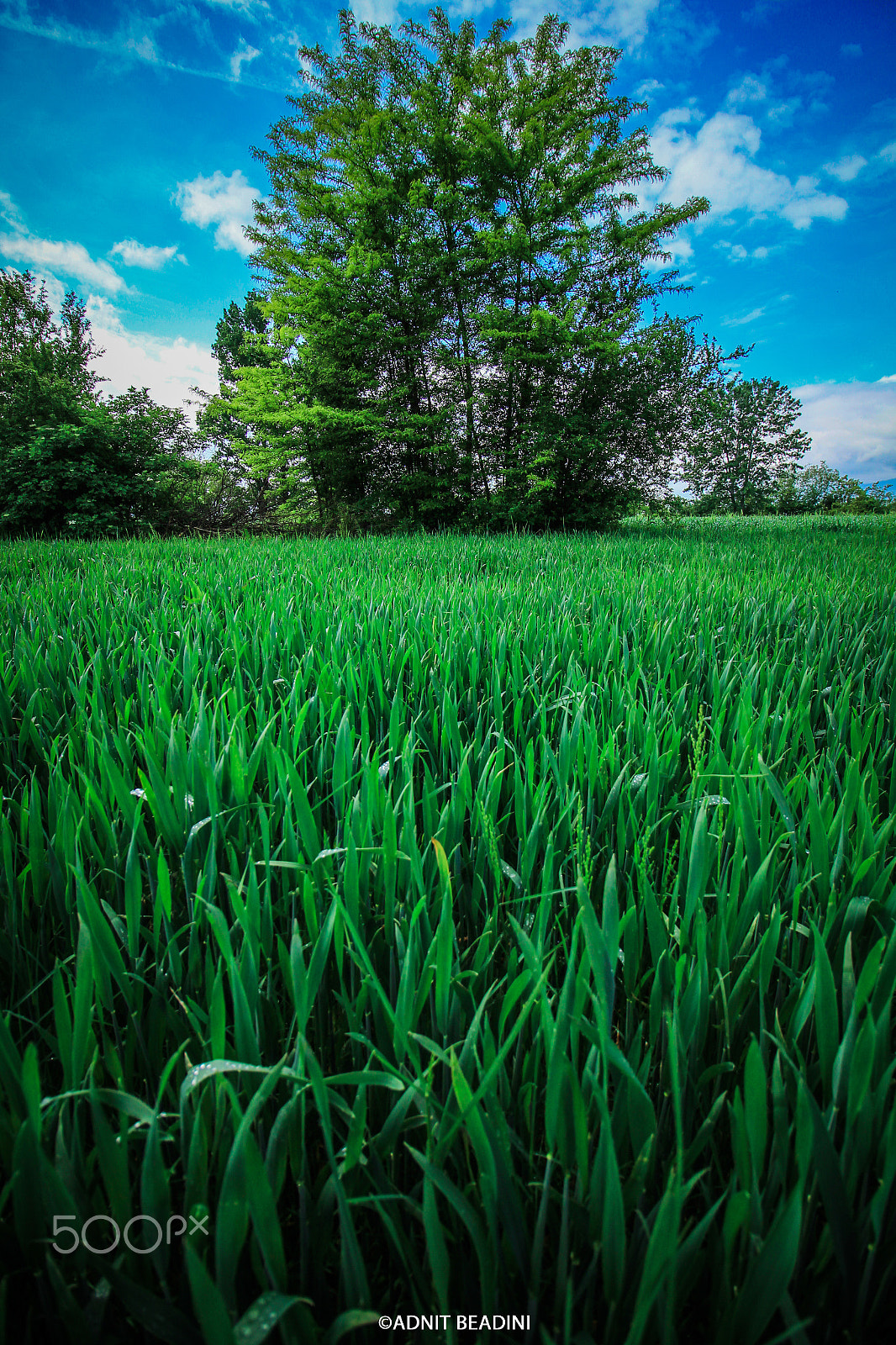 Canon EF-S 10-18mm F4.5–5.6 IS STM sample photo. Landscape photography