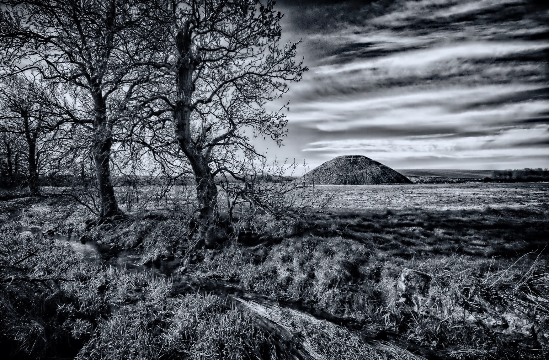 Sigma AF 10-20mm F4-5.6 EX DC sample photo. Silbury hill - wiltshire. photography